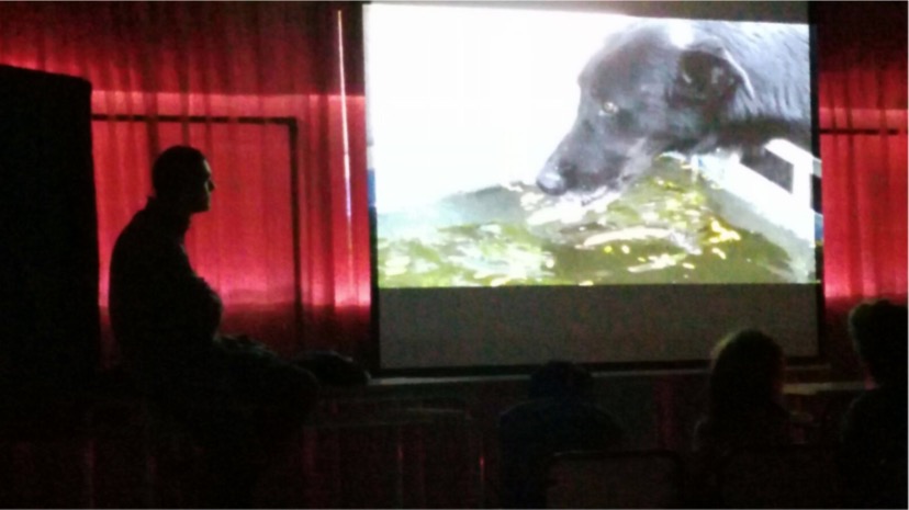 Realizando un Taller Audiovisual