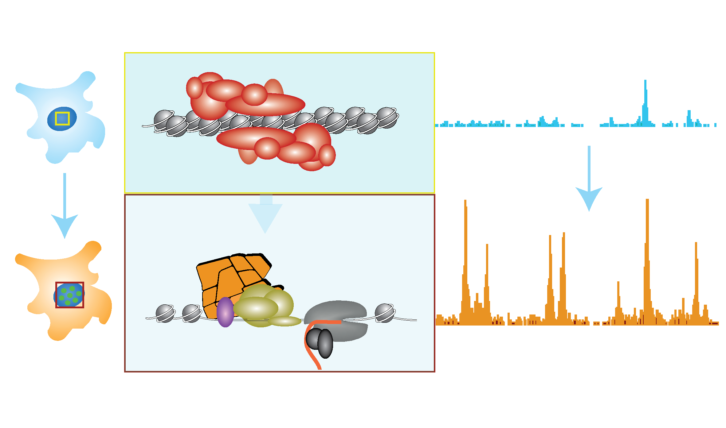 epigen.png