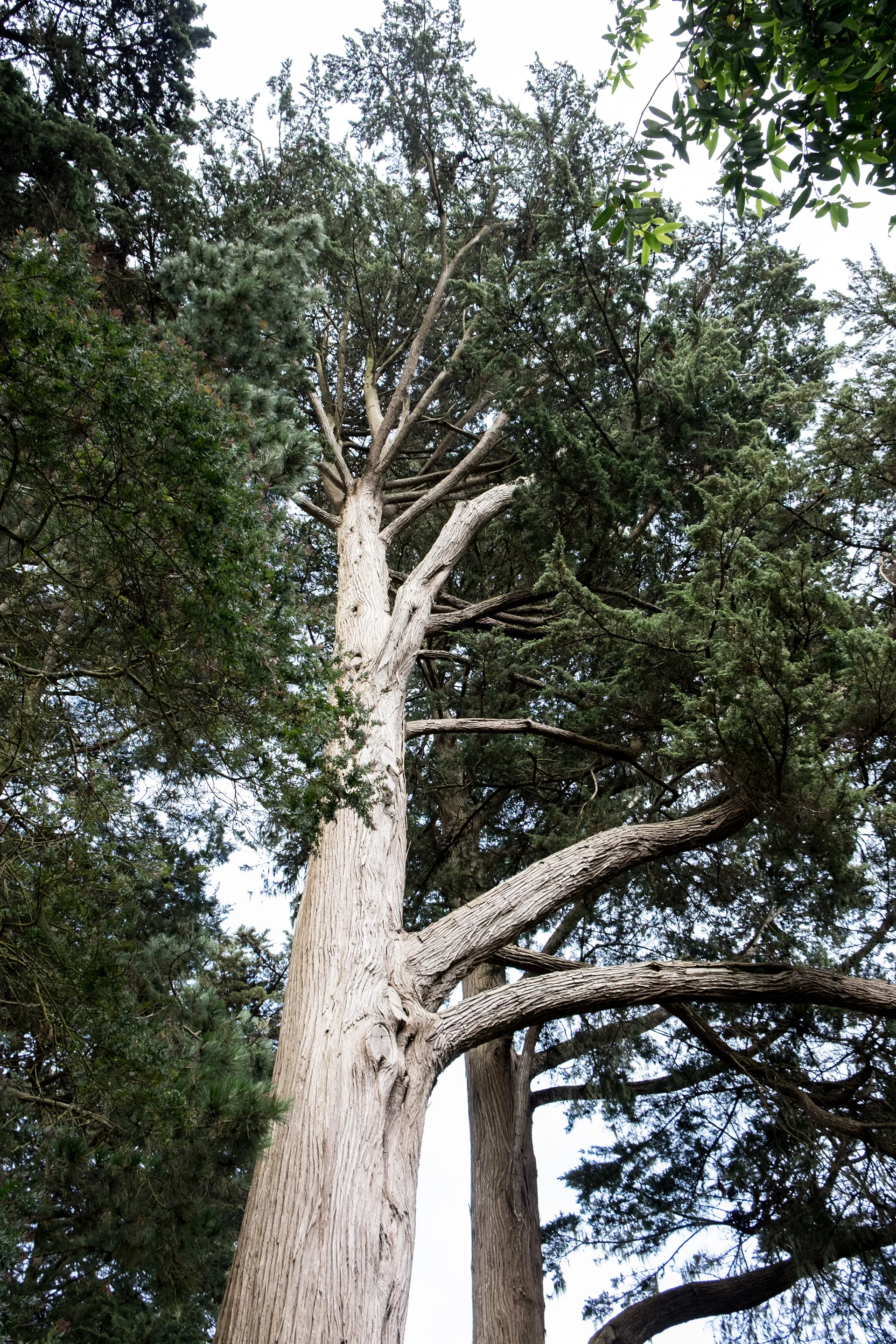 2a8e9007-9fc9-4545-8772-5b3499438c44_rw_1920.jpg