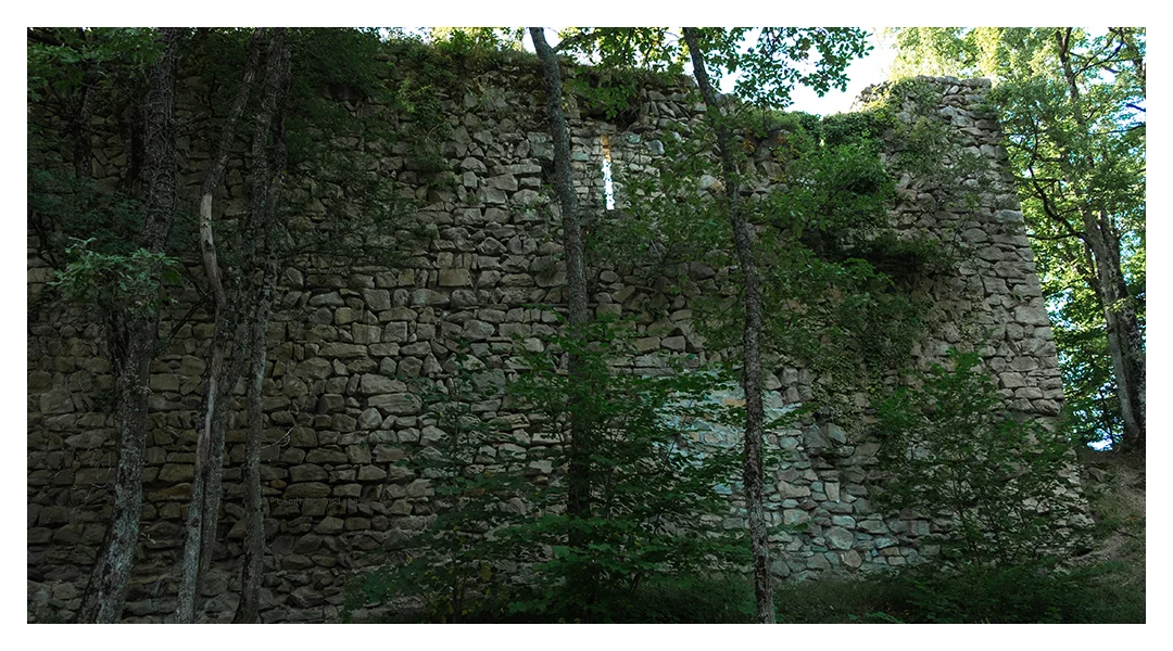 home_portfolio34.jpg