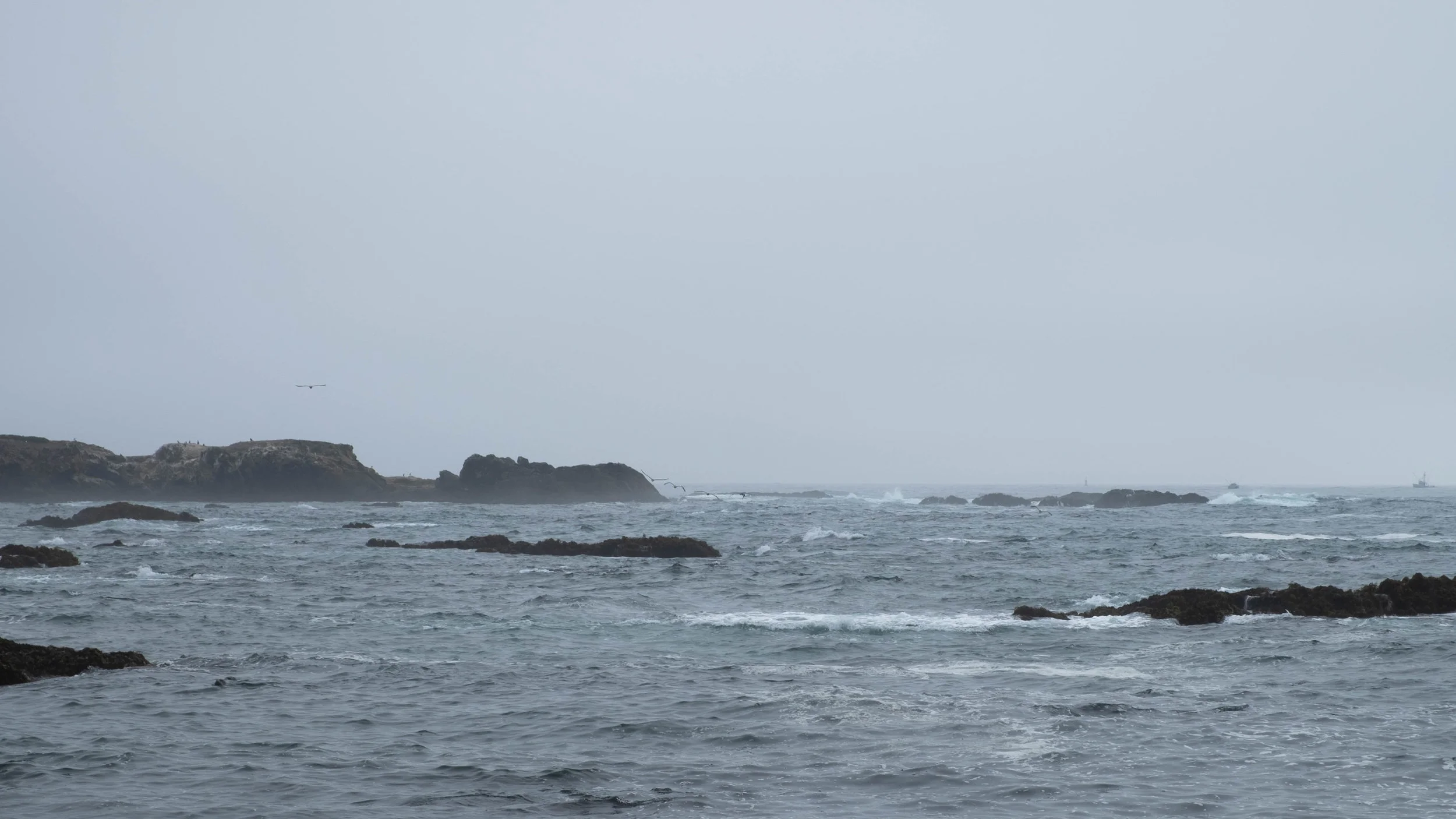 DSCF3079.jpg