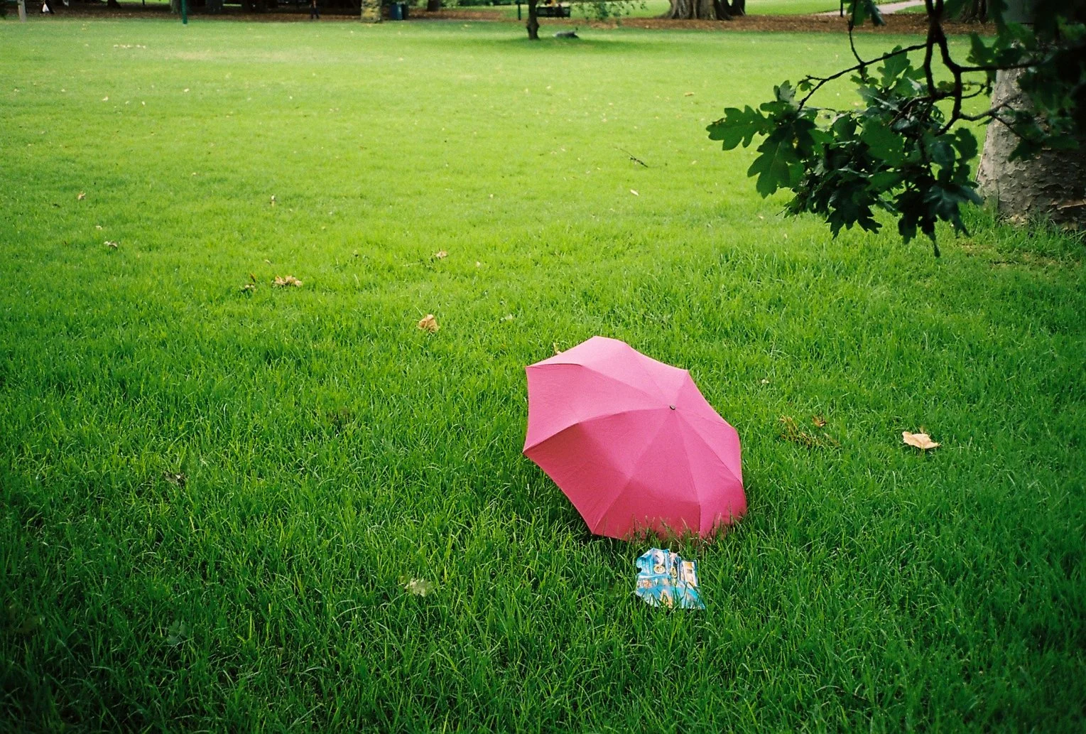 F1000006-2.jpg