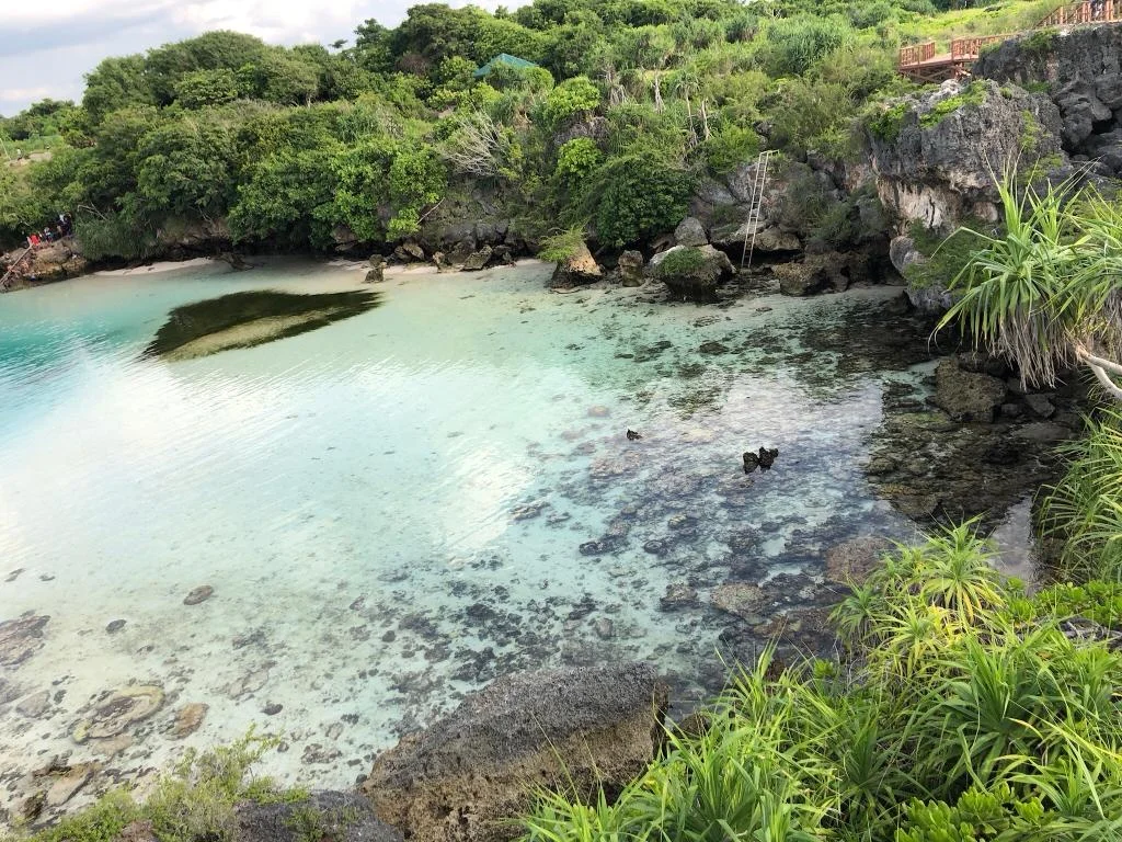 WhatsApp Image 2018-09-23 at 6.59.50 PM (5).jpeg