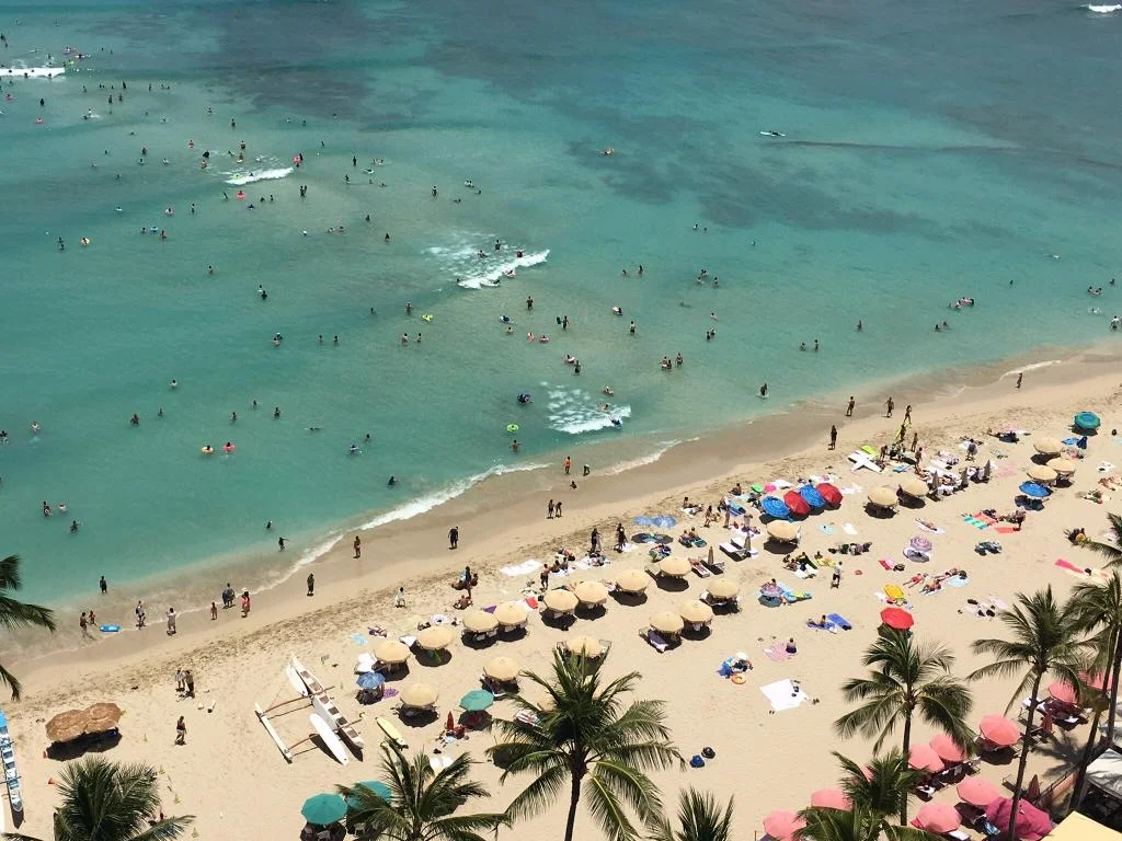 WhatsApp Image 2018-09-23 at 6.59.50 PM (6).jpeg