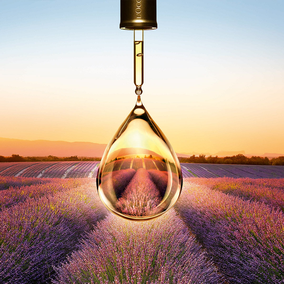 visuel instit-occitane.jpg