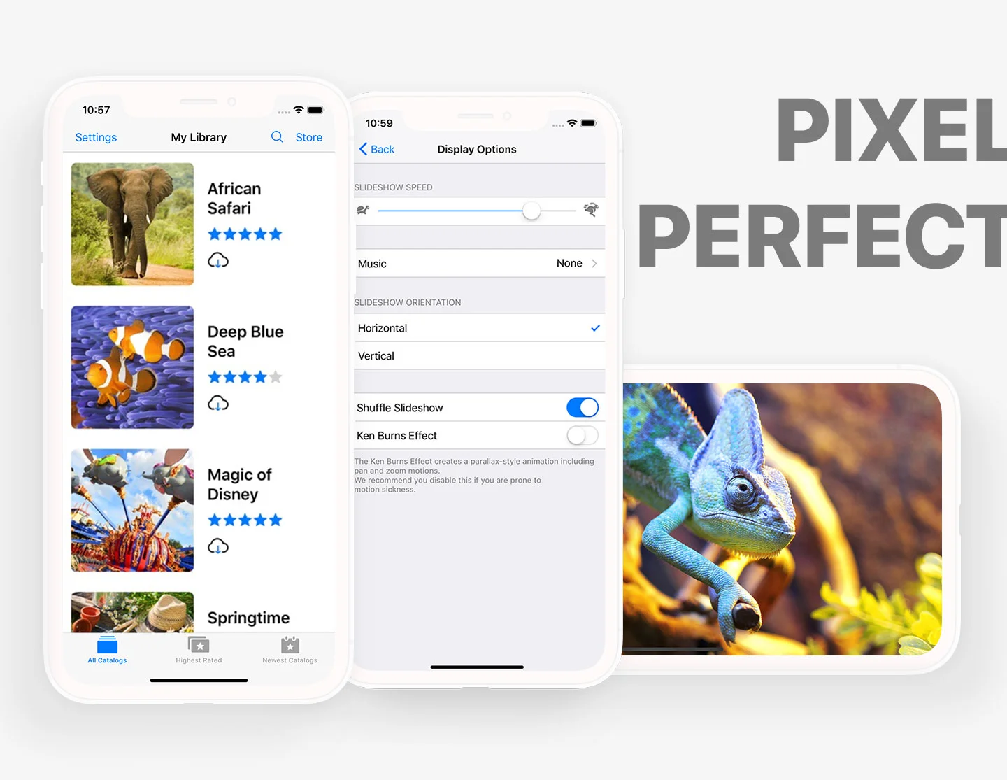 SIB-Pixel-Perfect.jpg