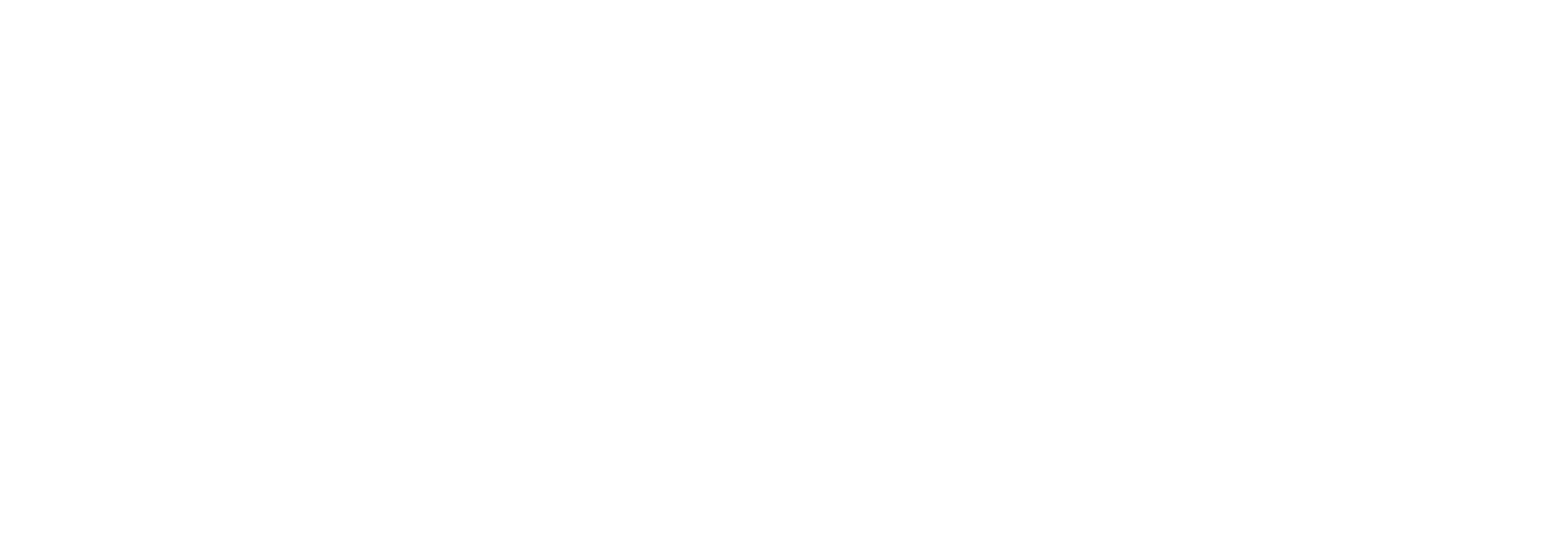 Matthew_Logo_White.png