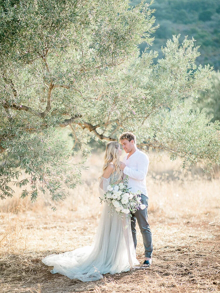 An Olive Grove Engagement Session