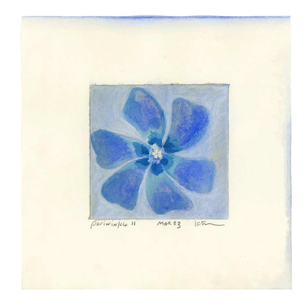 Study_86.jpg