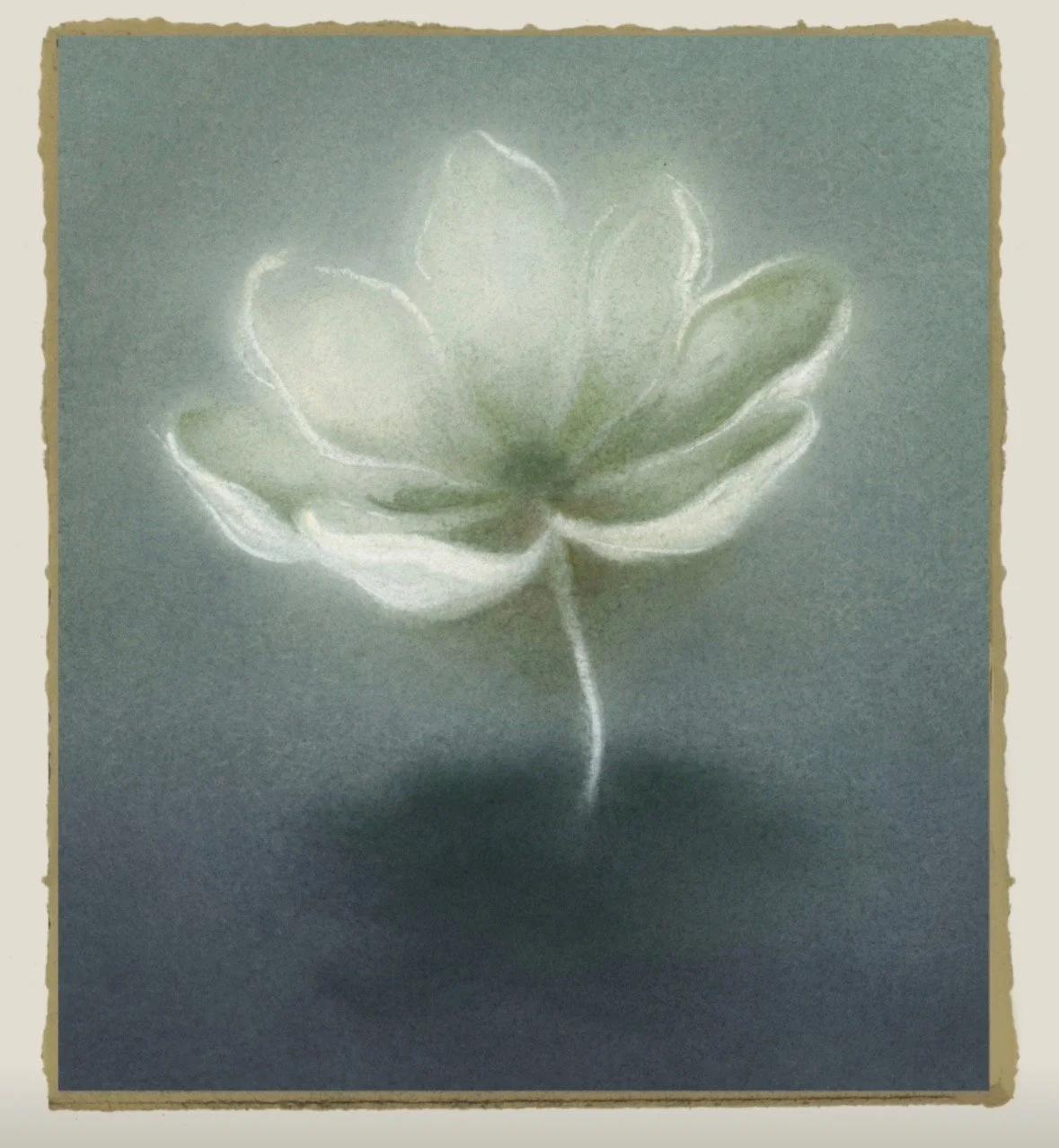 FullSizeRender_VSCO 4.JPG