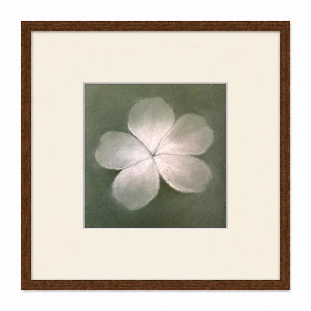 Desert Bloom No 2.png