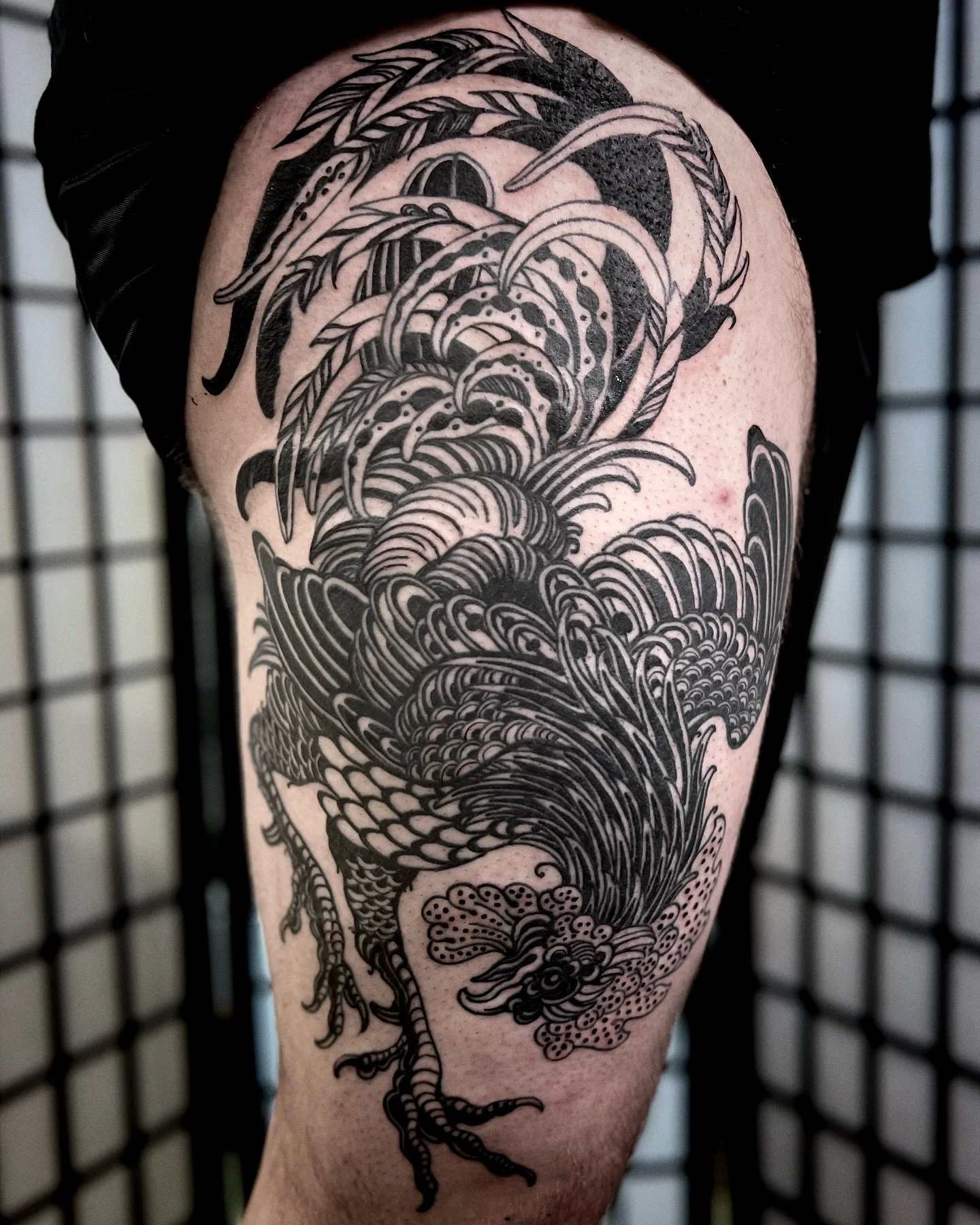Backwork cockerel leg tattoo