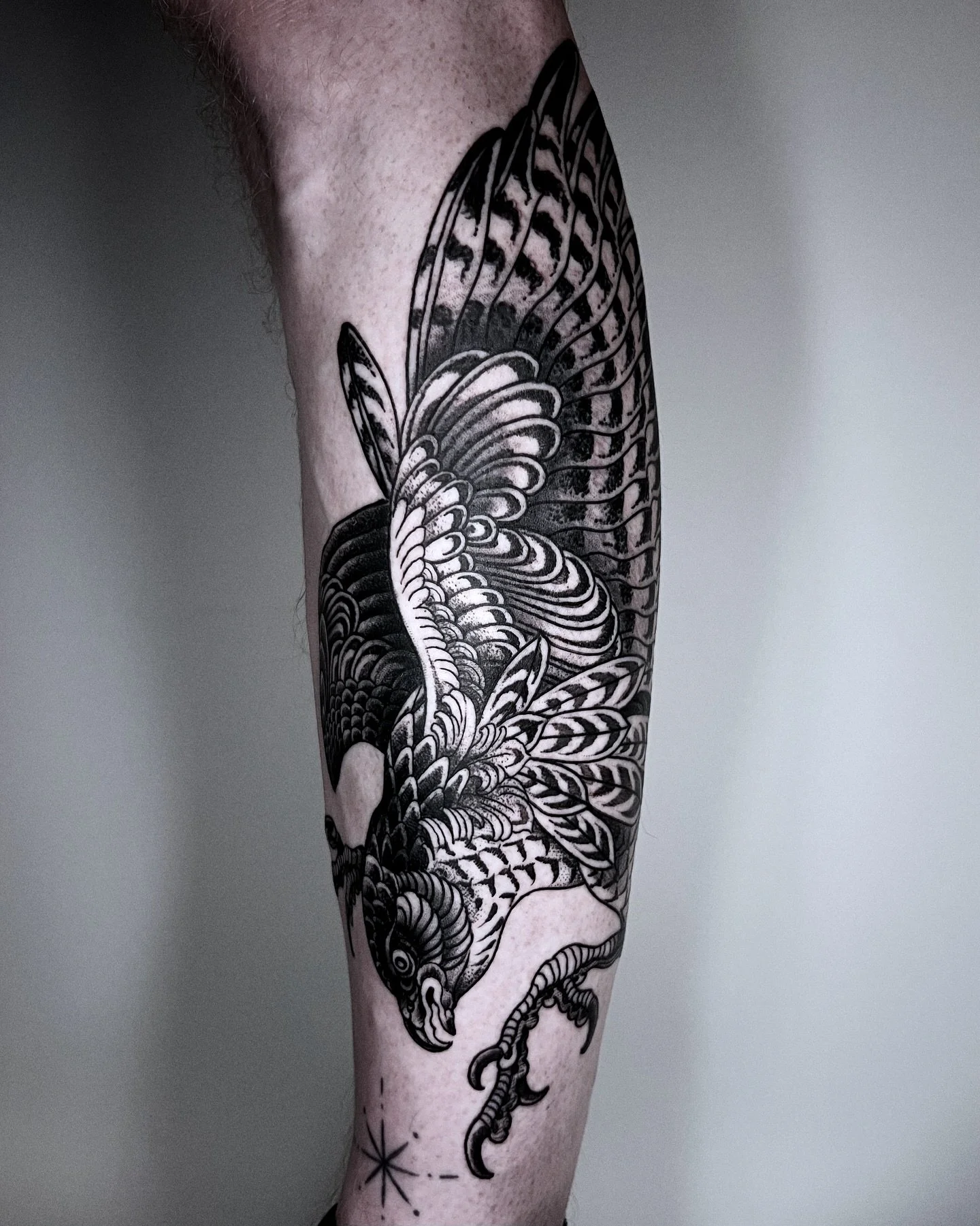 Sparrow hawk blackwork tattoo