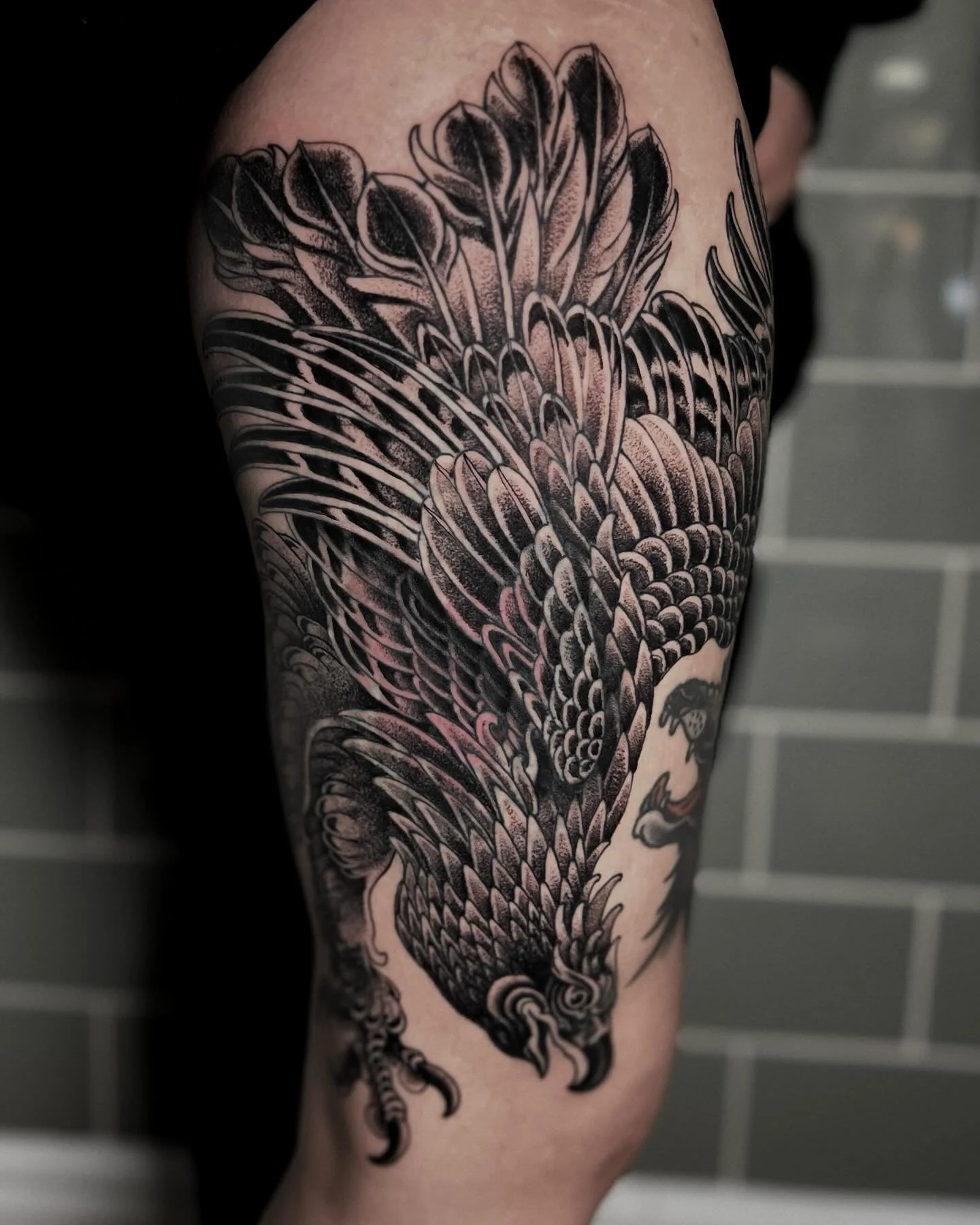 Blackwork hawk tattoo