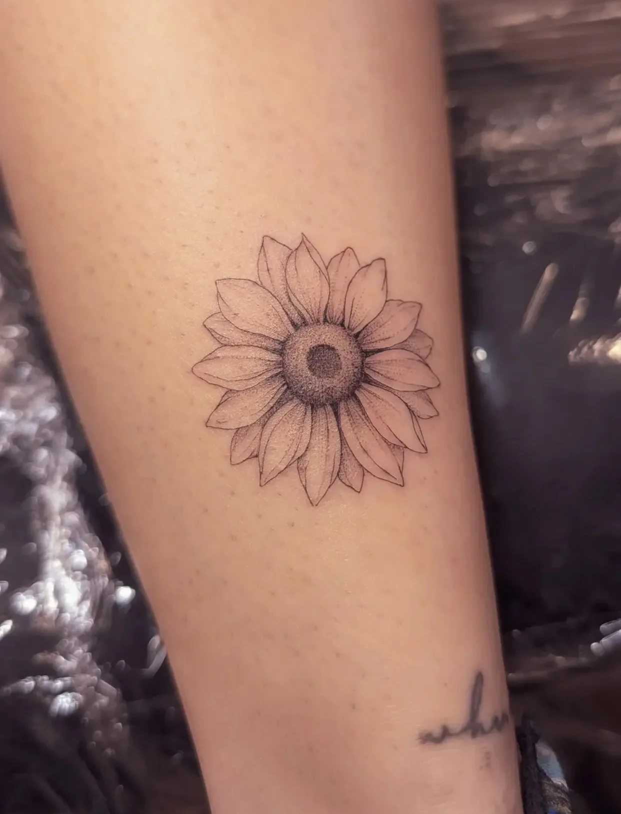 Delicate flora by @bibi.lea.tattoo for info &amp; bookings 📩 Bibi.lea.tattoo@gmail.com
&bull;
&bull;
&bull;
#bibileatattoo #finelinetattoo #londontattoo