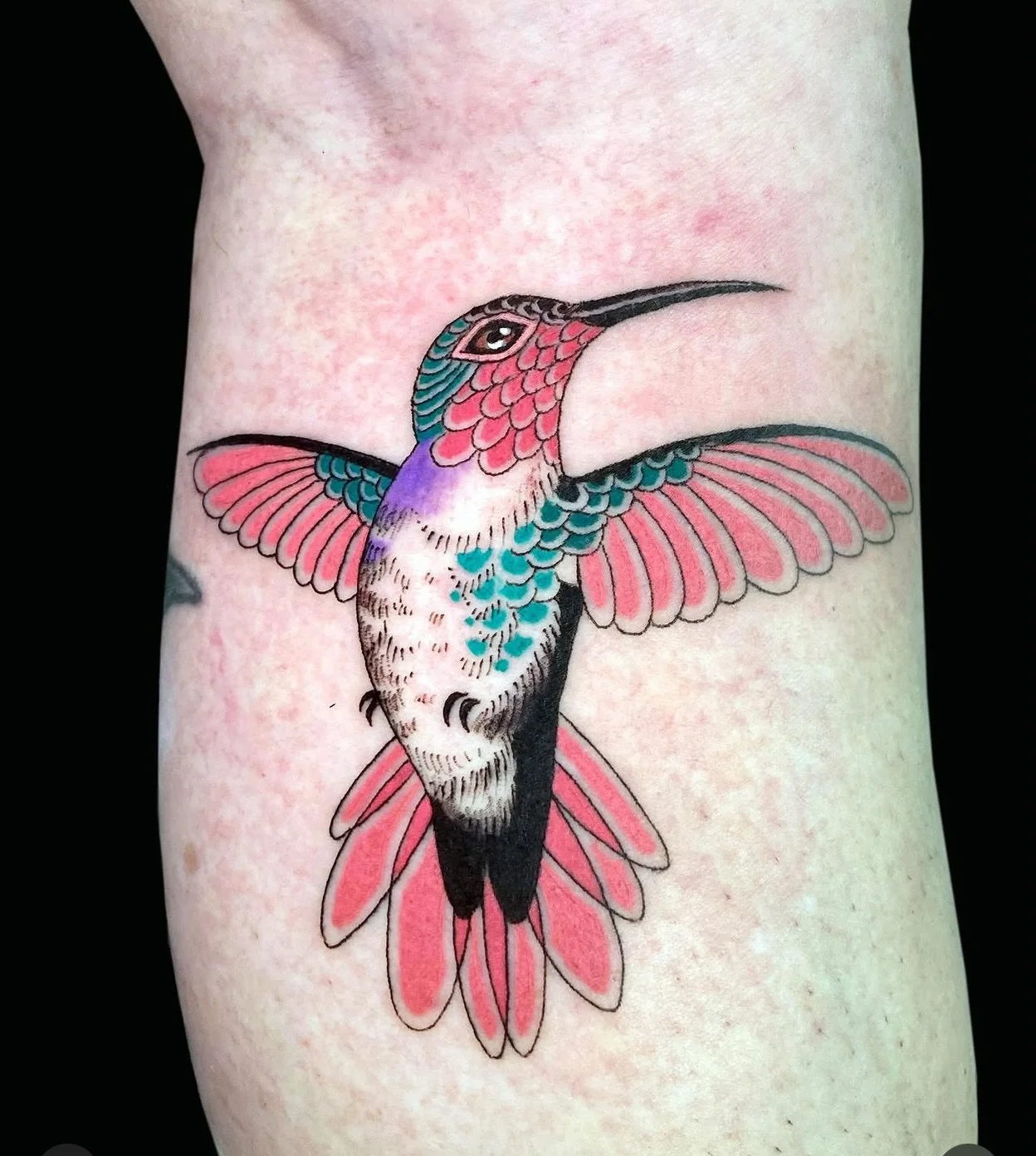 Recent tattoos by regular guest artist @inmatattooartist for info &amp; London bookings fill out the contact form on her profile.
&bull;
&bull;
&bull;
#inmatattooartist #redpointtattoo #traditionaltattoo
