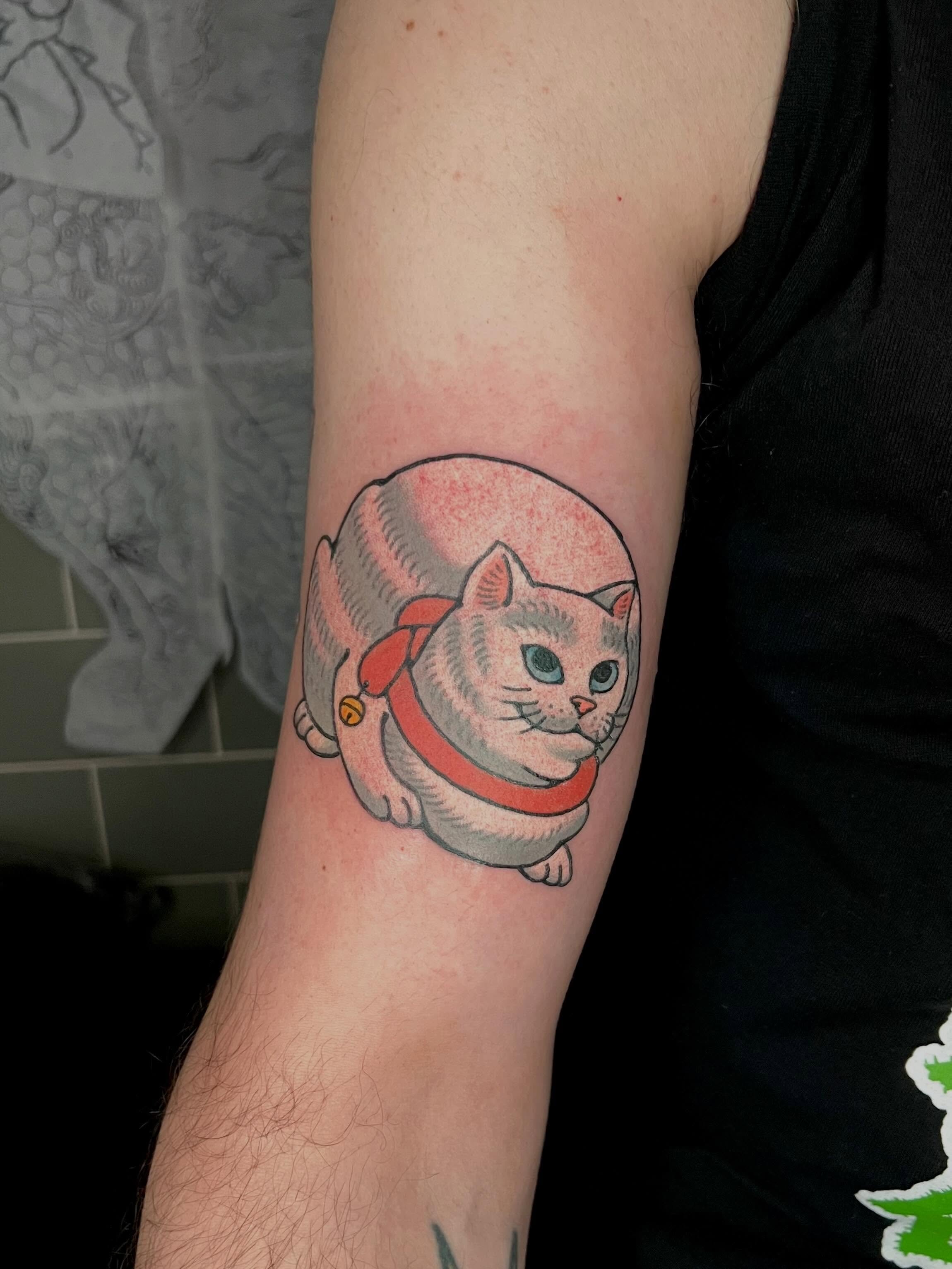 yutaro-cat.jpg