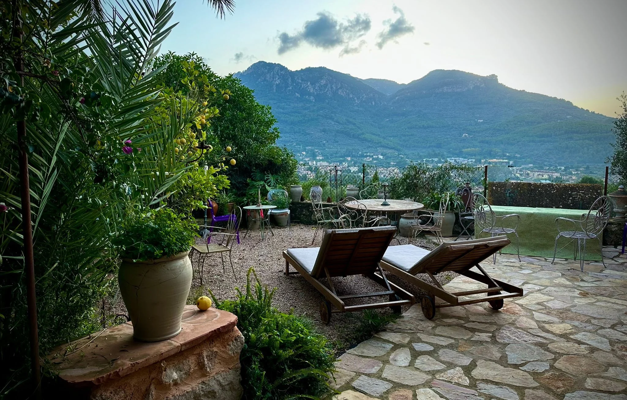 WhatsApp Image 2024-11-03 at 19.04.03 3.JPEG