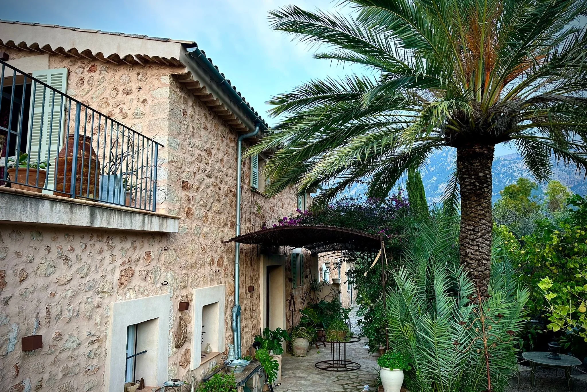 WhatsApp Image 2024-11-03 at 19.04.02 (1) 3.JPEG