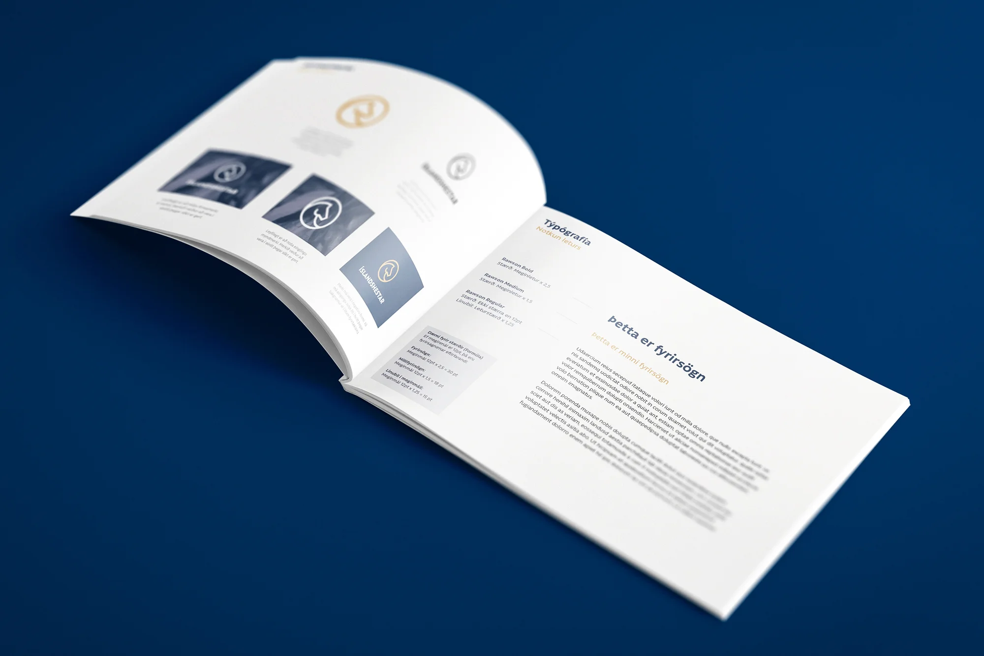  The project was done at  Jökulá .  