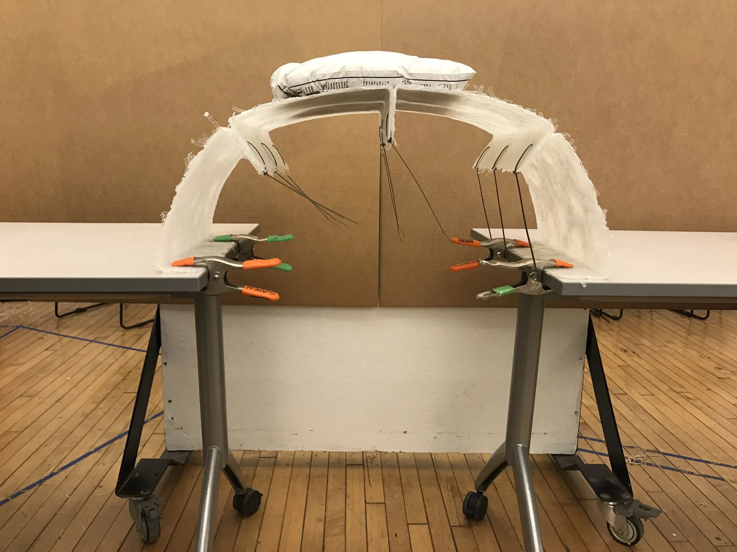 mini arch with 20lb weight