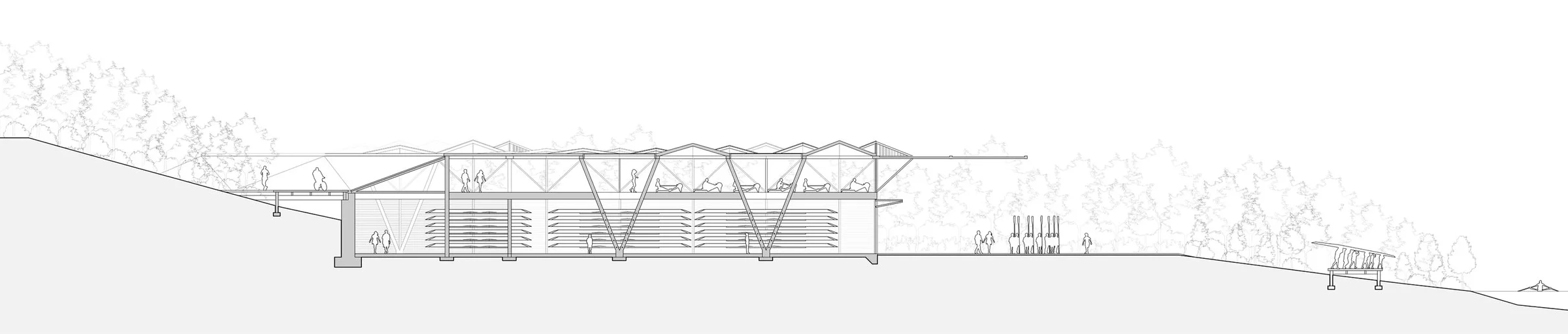 cross-section showing the connected visual relationship between all indoor programs, outdoor outdoor activities and the river