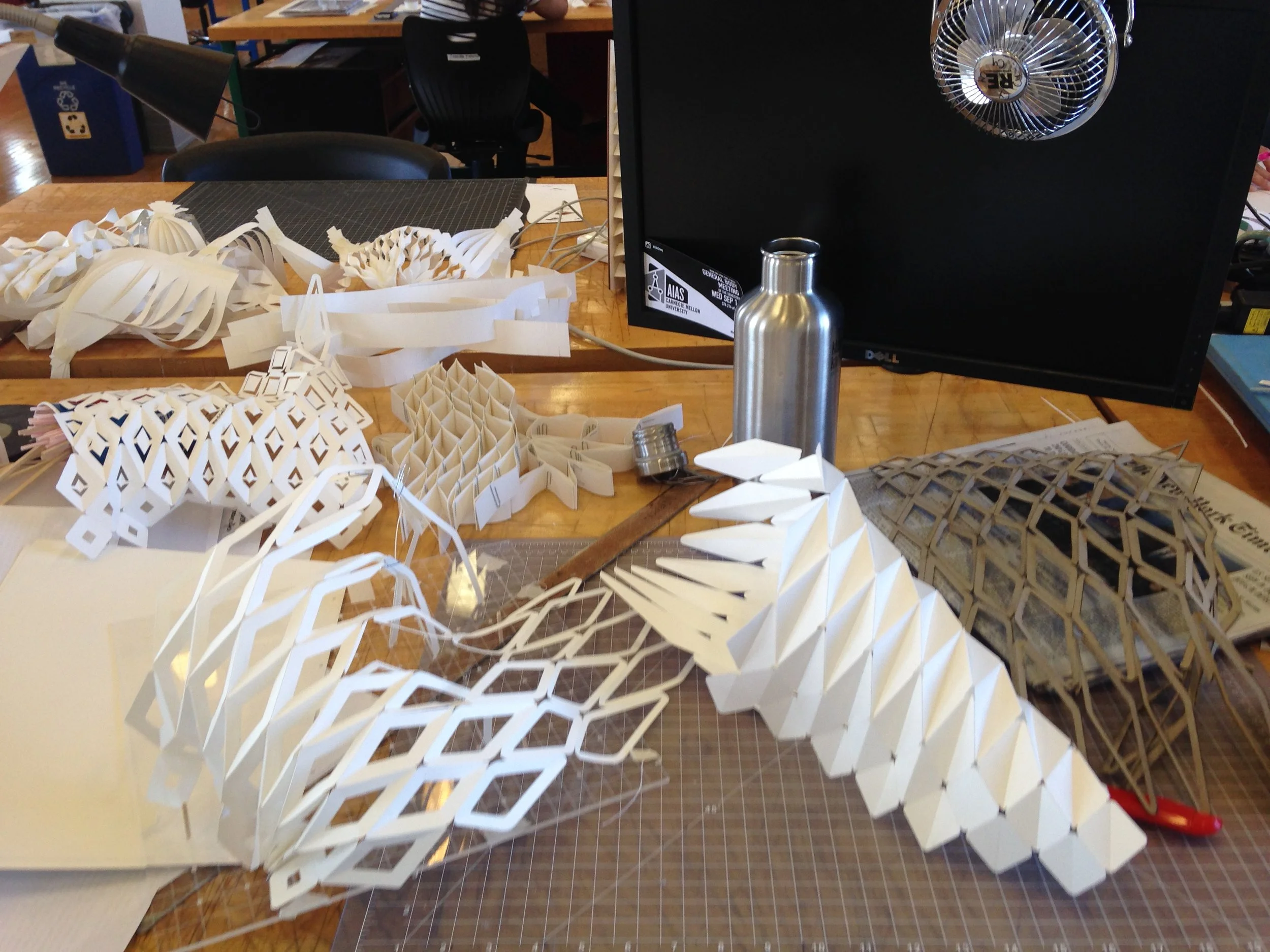 study models exploring skin conditions