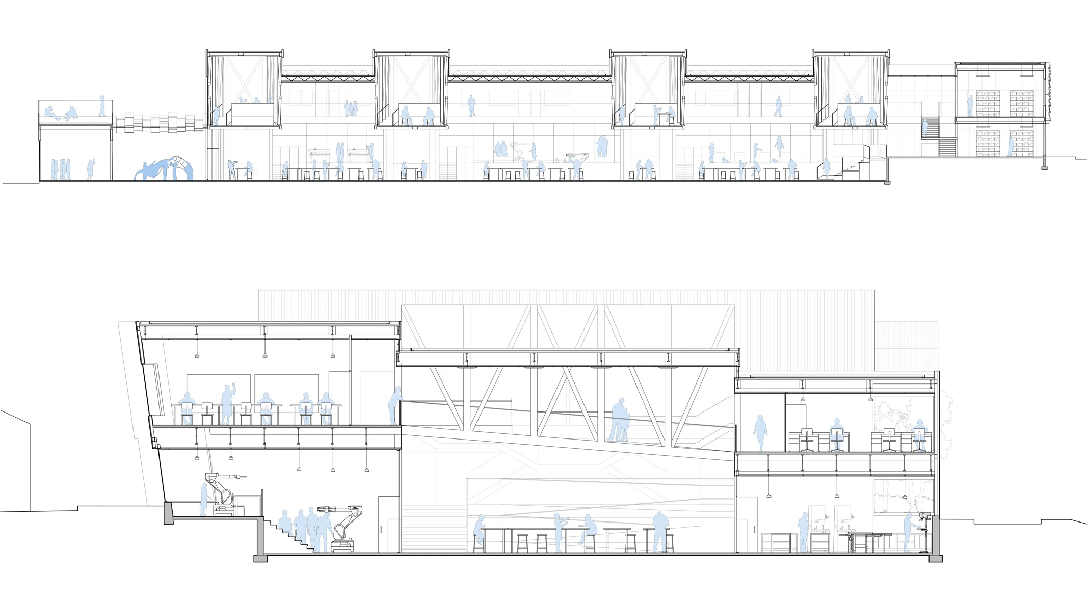 trans-section and cross-section