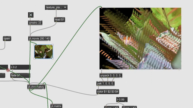 using jit.chromakey with my plant footage