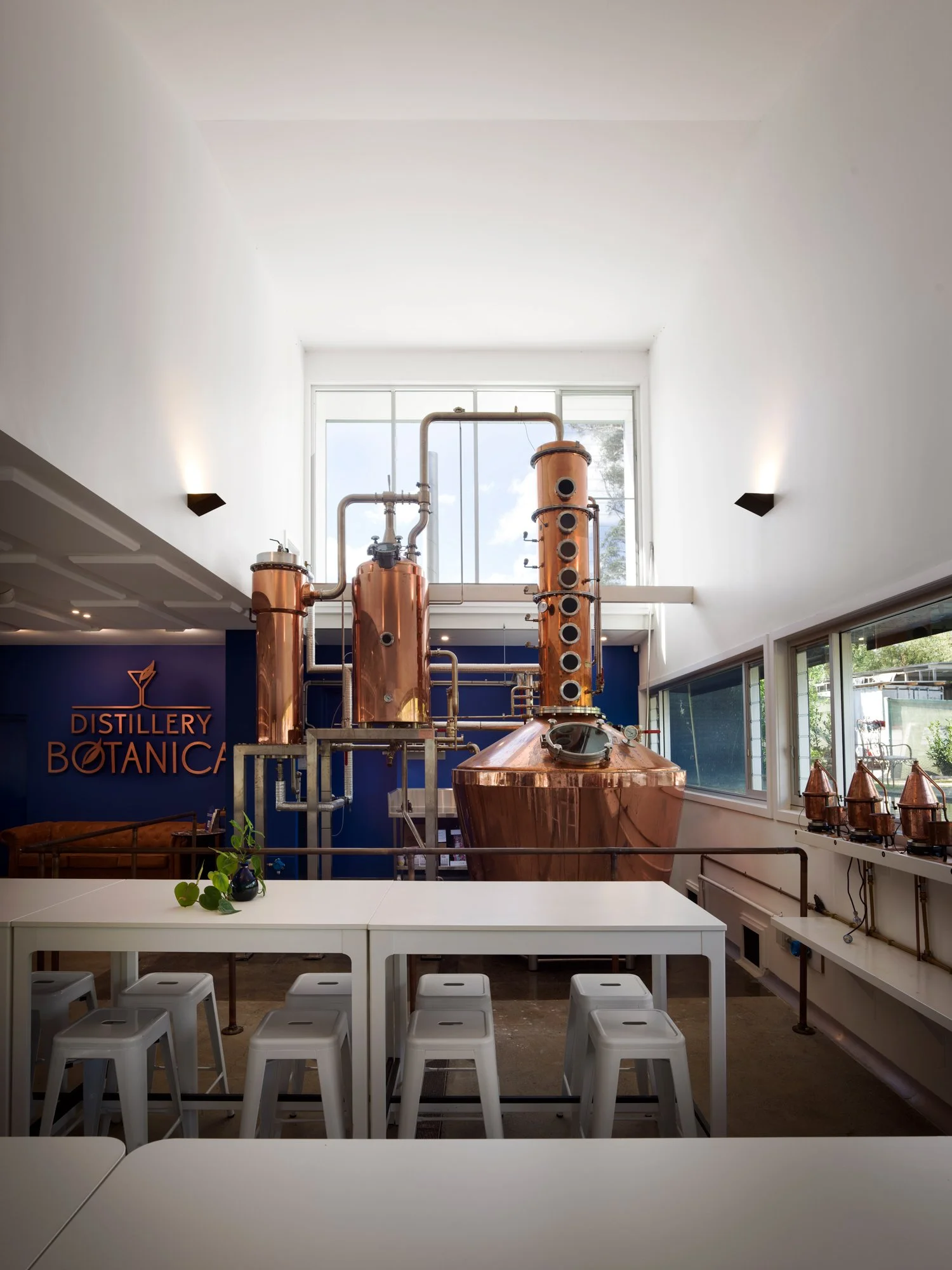 DISTILLERY-BOTANICA-STILL.jpg