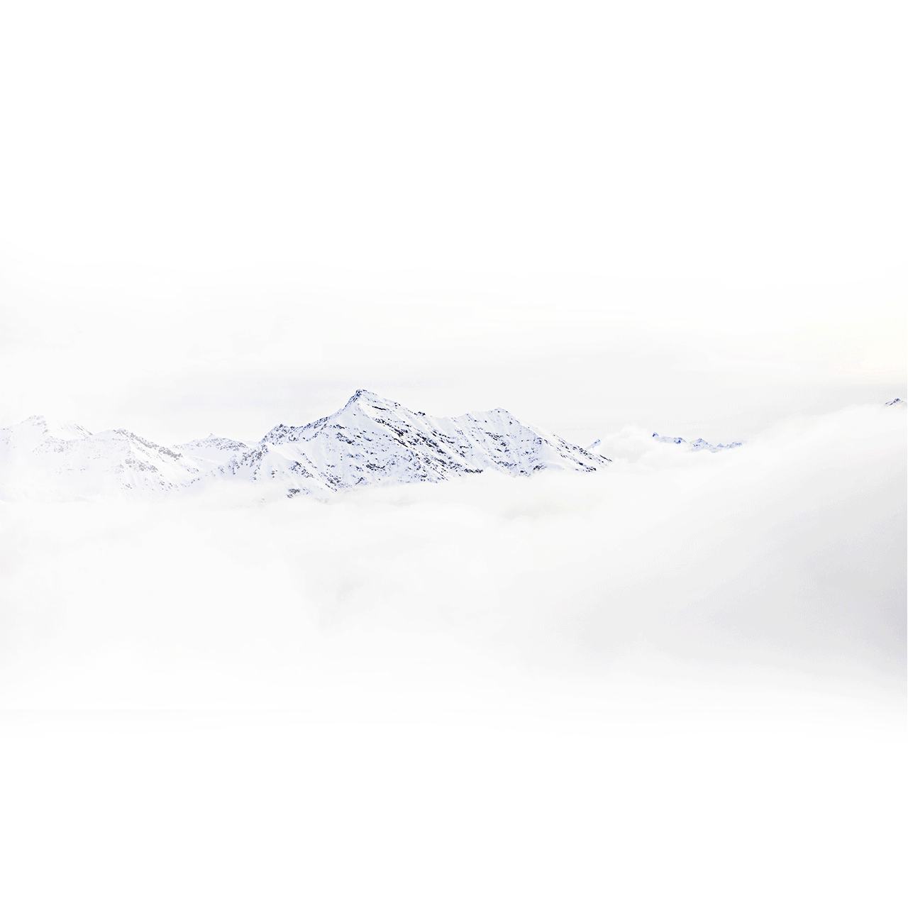 ff_header_animated_1280x1280_prod.gif