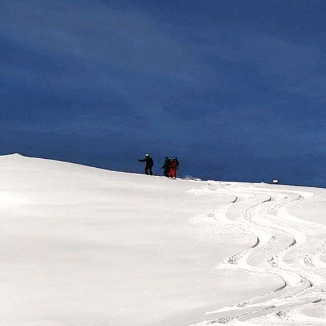 That's one for the books + happy faces 🤙😀... @freeridestation

www.flofriessnegg.com

#FGSG #guiding #forskiers #tx103 #thenorthface #freeridestation #ride #connect #learn #silvrettamontafon