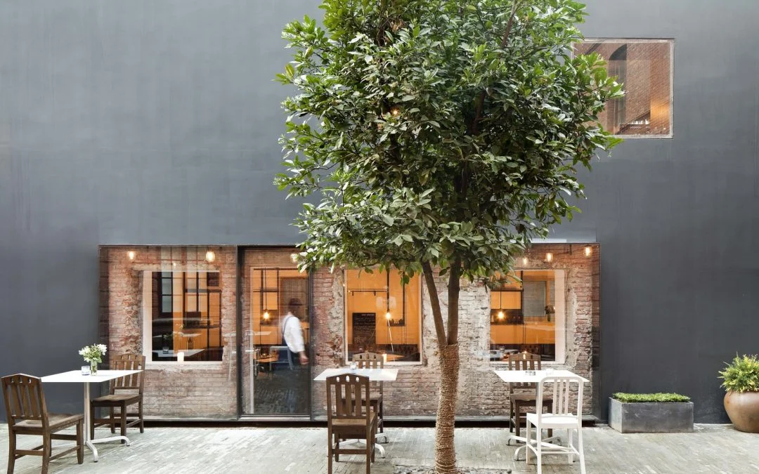 Bí Mật Của Quán Cafe Hút Khách