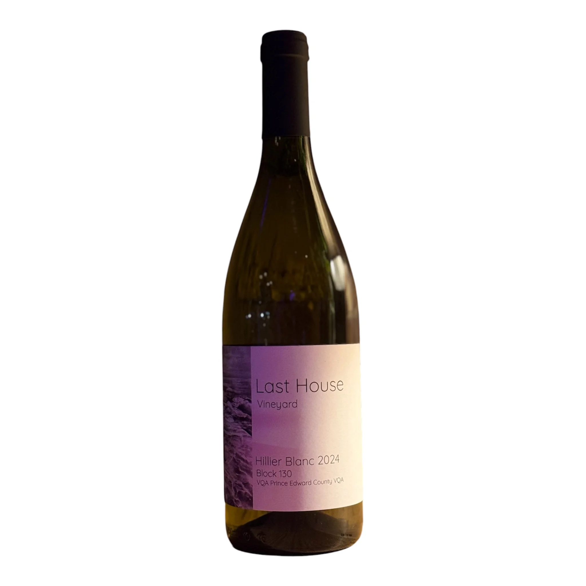 last house hillier blanc 2024.jpg
