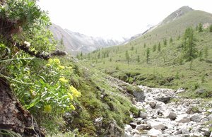 BBM Teacher Training Level-3 with The Minded Institute