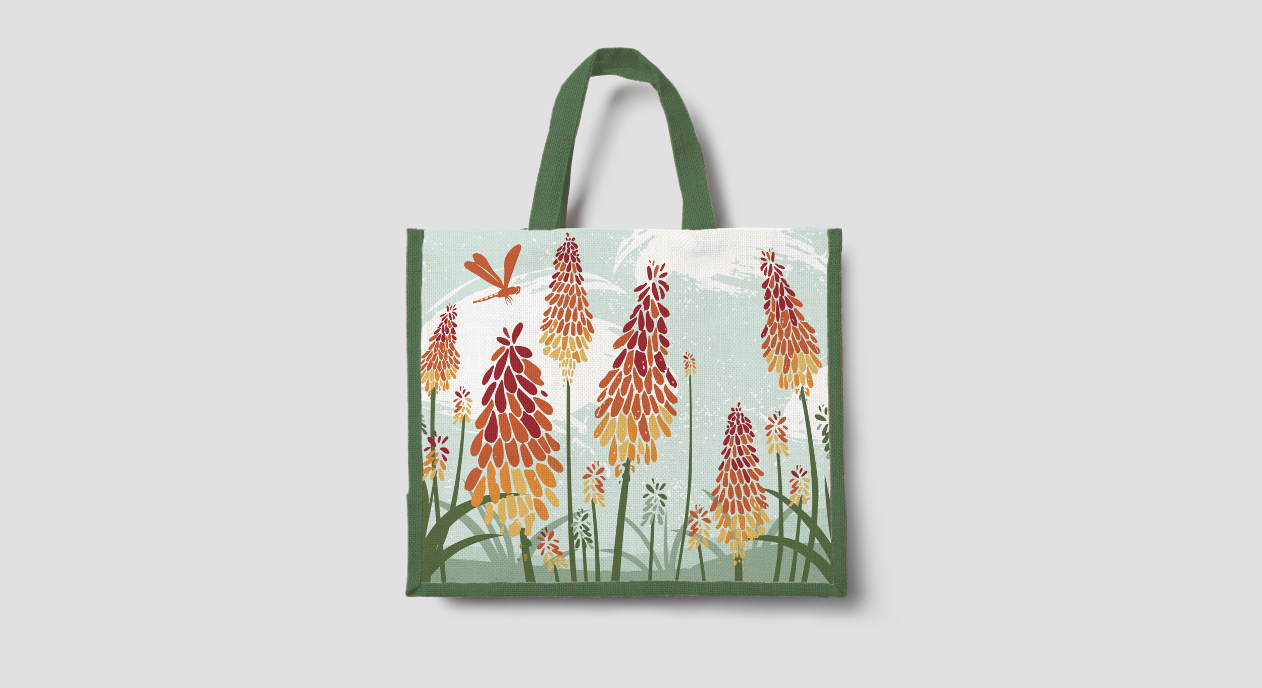 Kniphofia 'Red Hot Pokers'