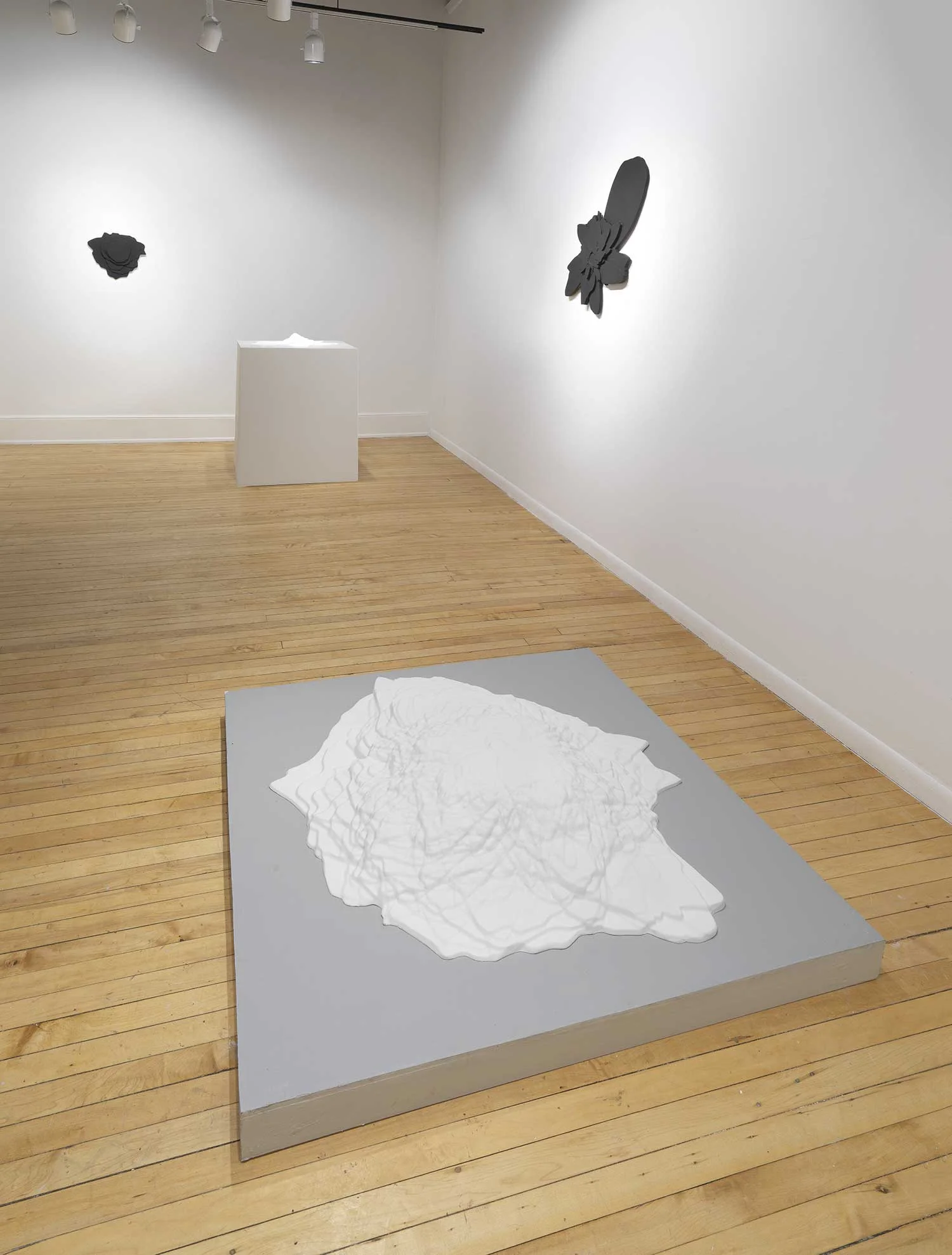 The Shape of Your Sounds, Sonnenschein Gallery, 2018