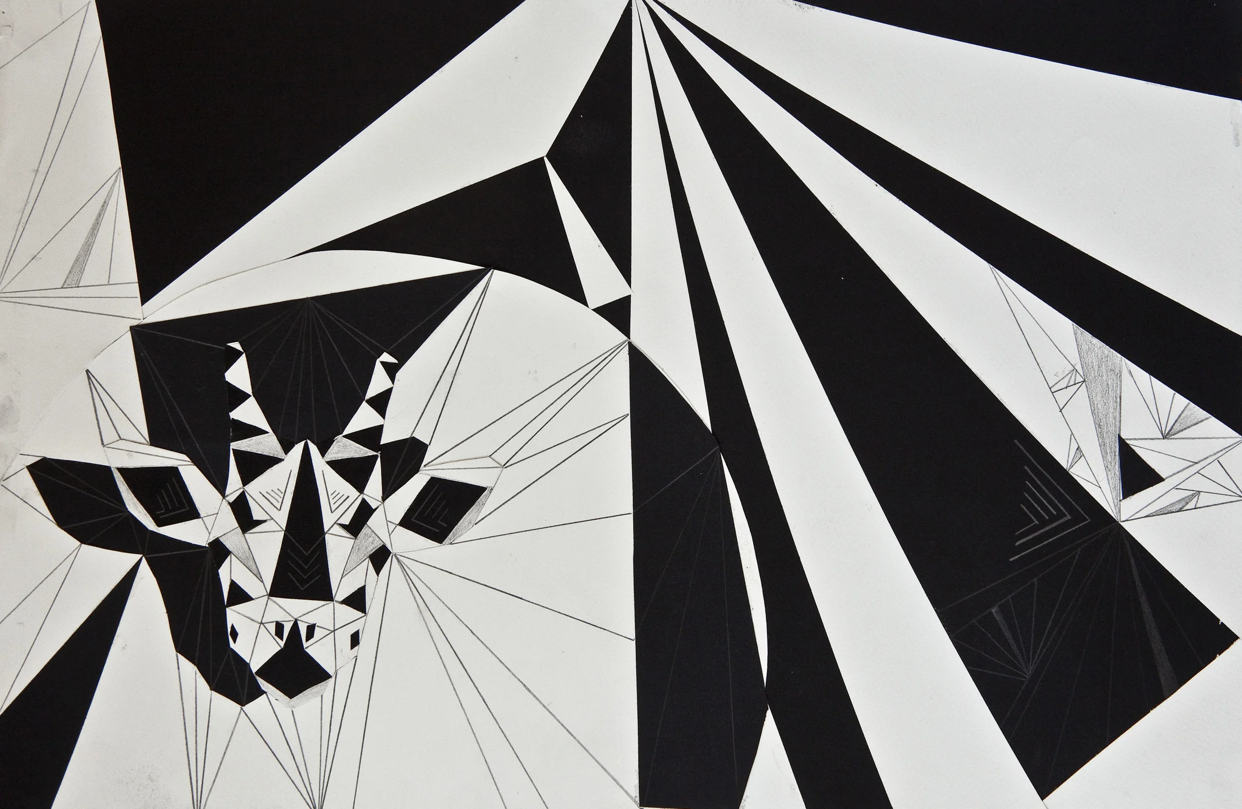 Josie Bellini, Dynamic Figure/Ground Assignment