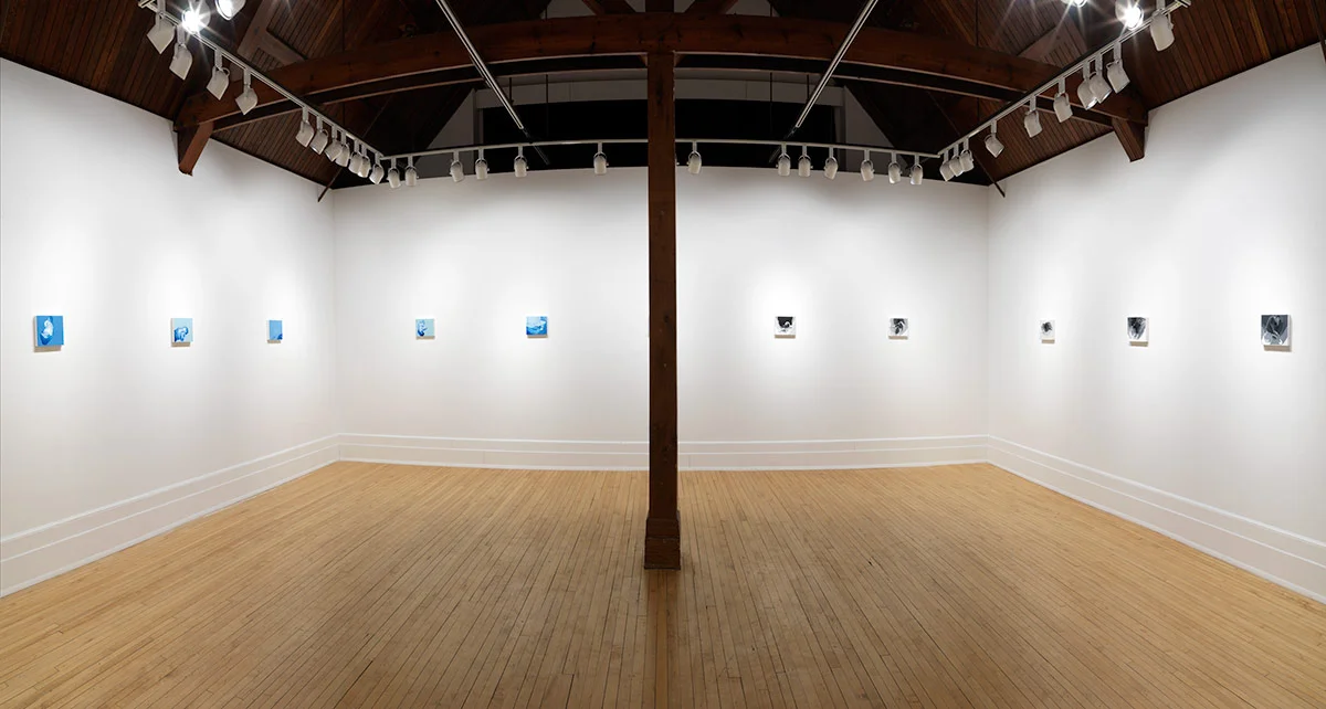 Sleep Regression, Installation View, Sonnenschein Gallery
