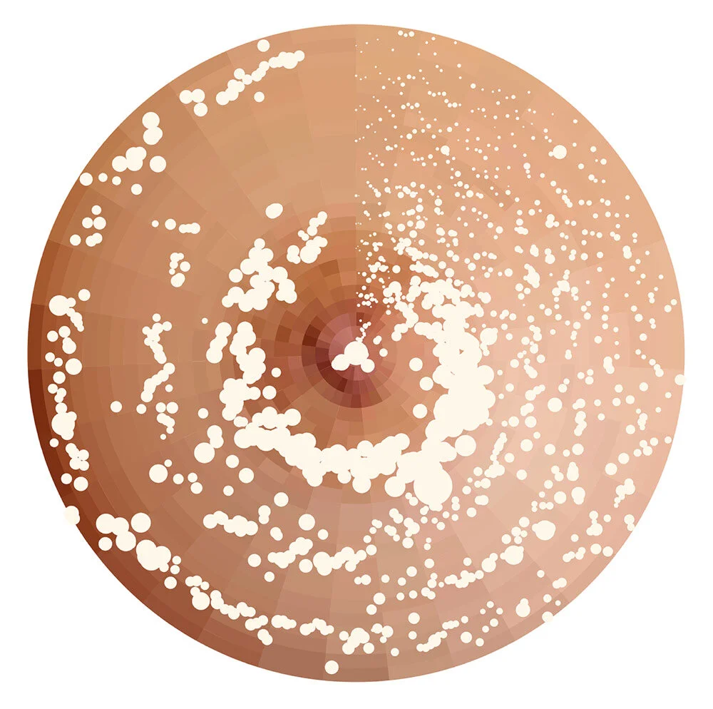 8,060 Ounces of Breast Milk Collected Over 572 Hours from August 2016 to July 2017 (above and below)