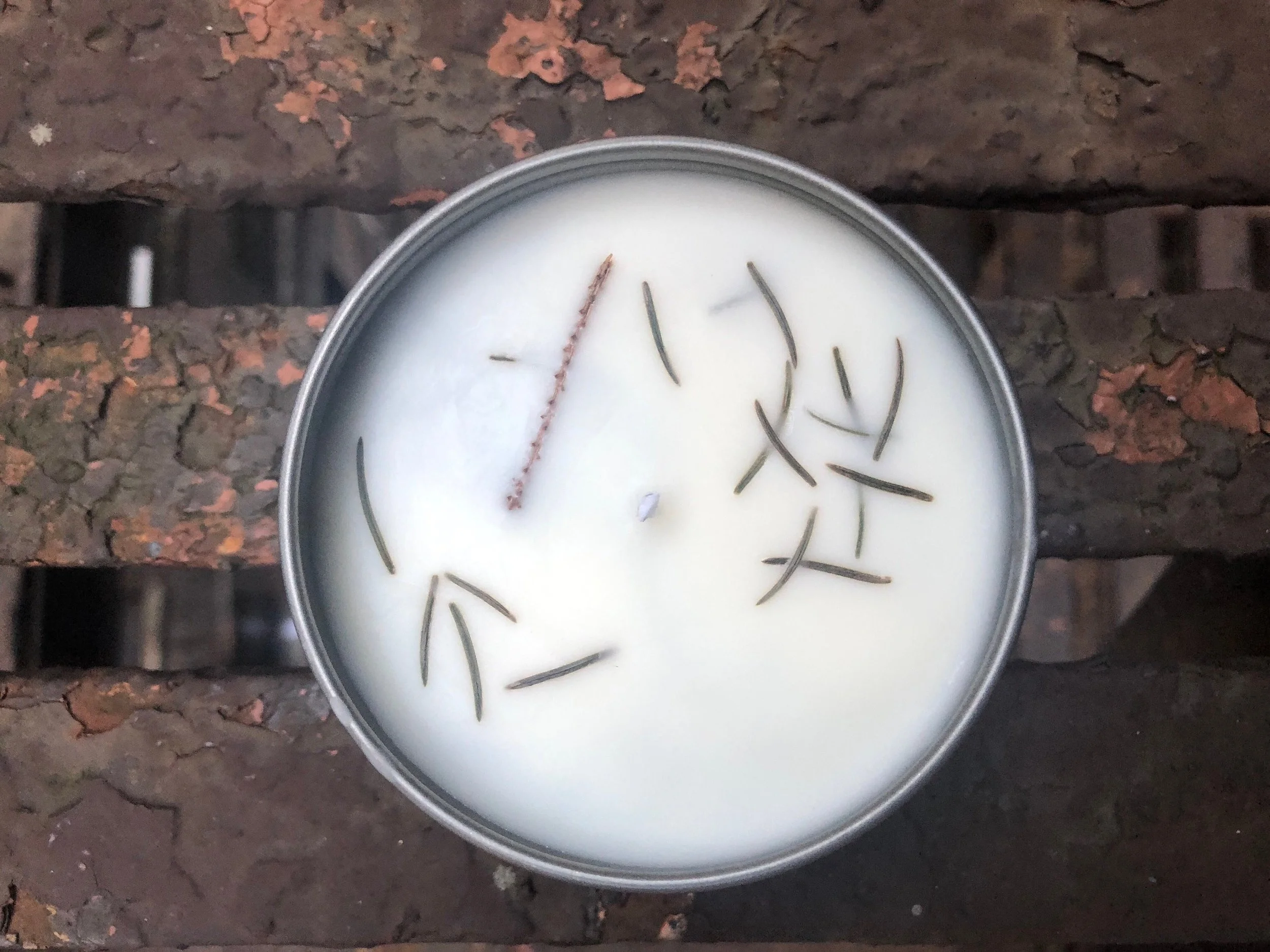 queer candle co // winter spruce soy candle