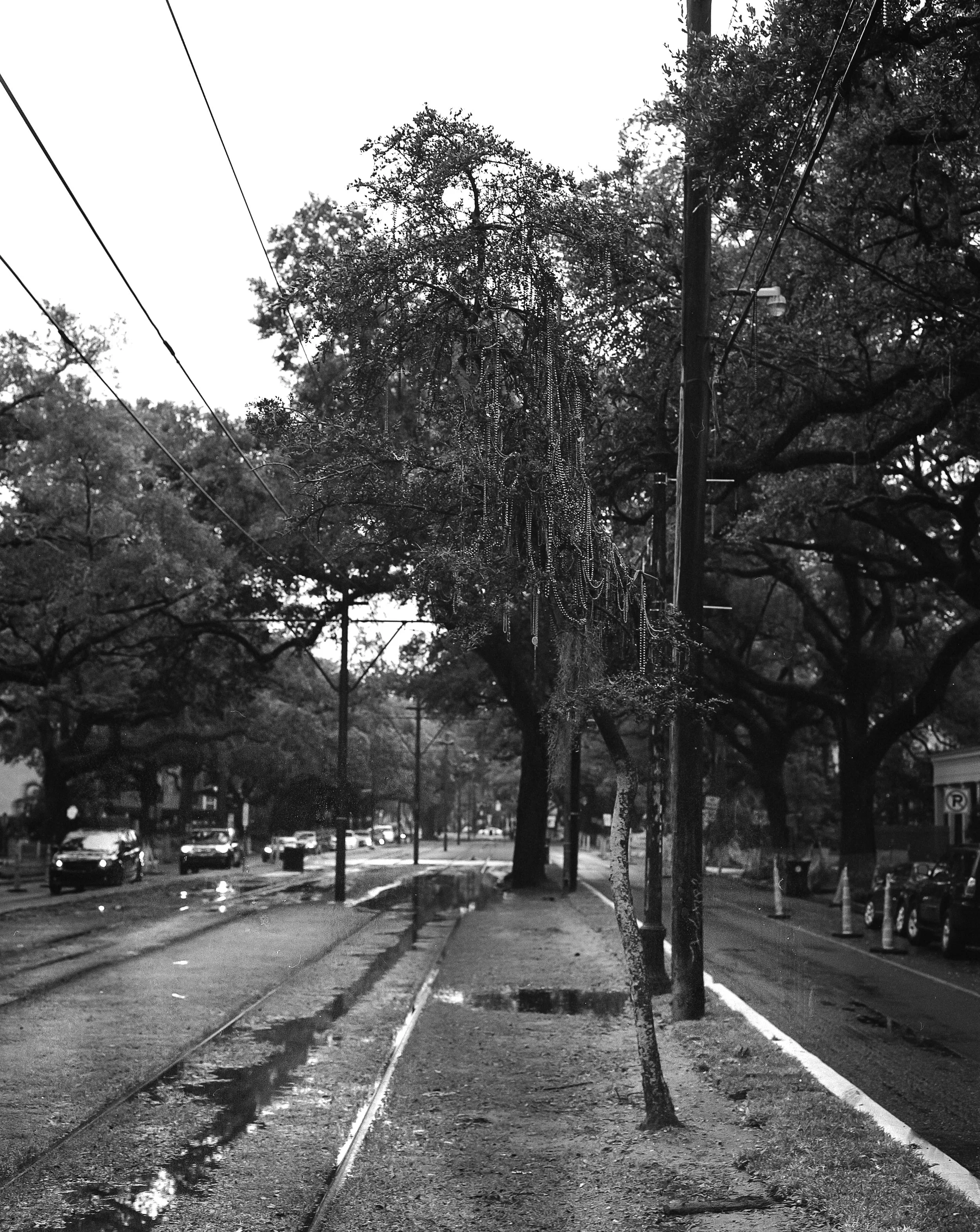 NOLA-28.jpg