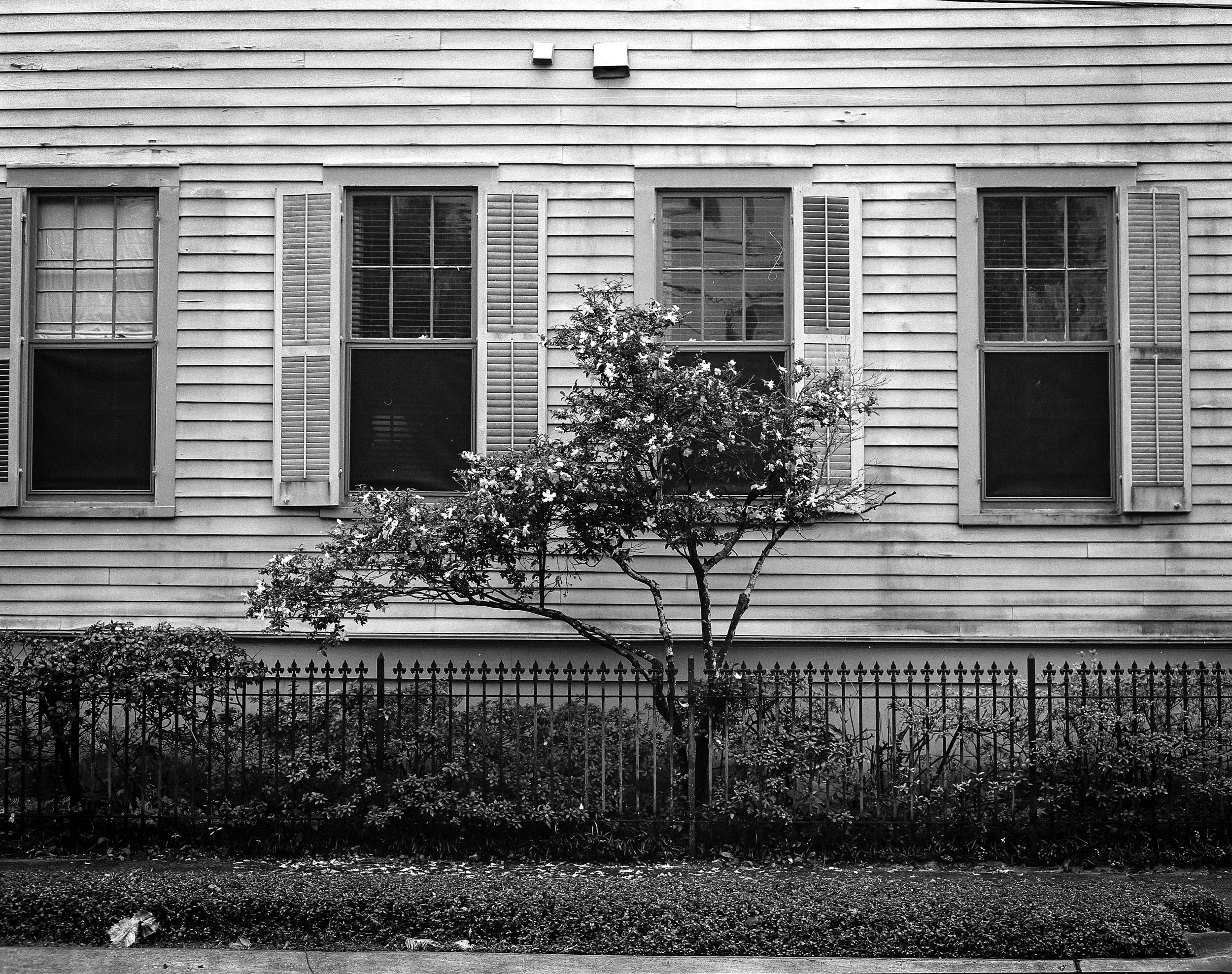 NOLA-29.jpg