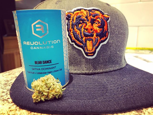 House to myself today... #beardown #revolutioncannabis #beardance #mapleglencarecenter