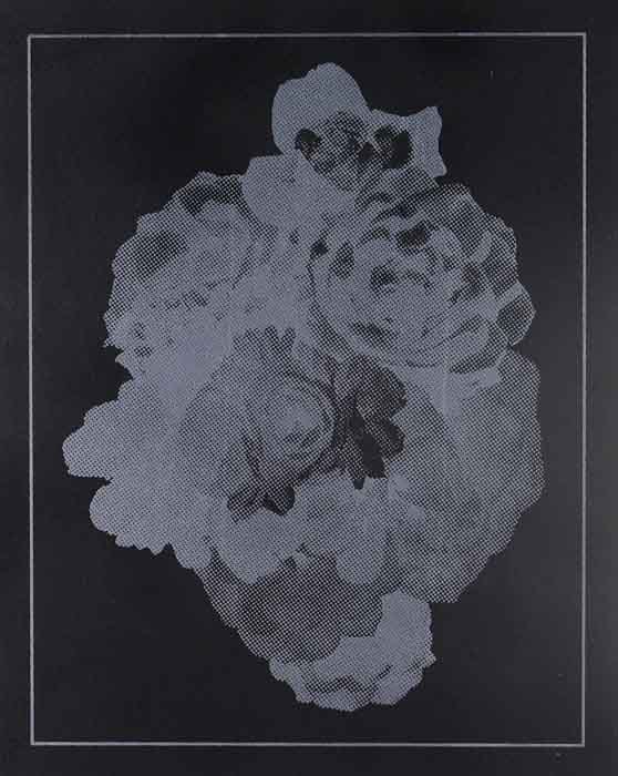 Jon Chao Floral Composition 2 Screen Print #1/1