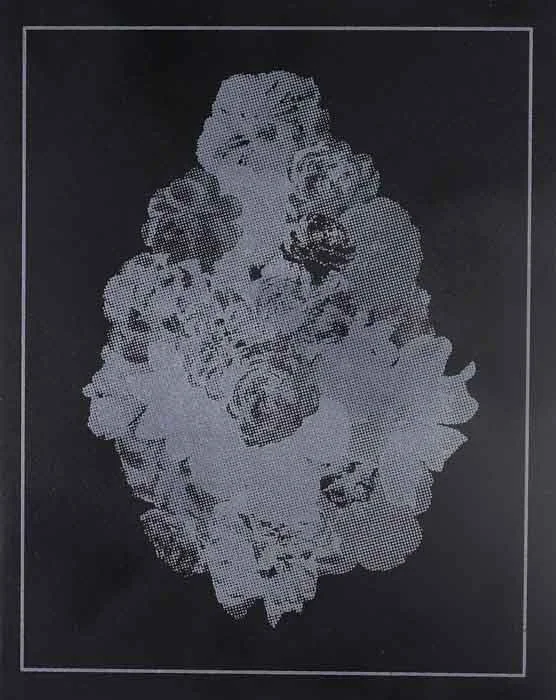 Jon Chao Floral Composition 1 Screen Print #1/1