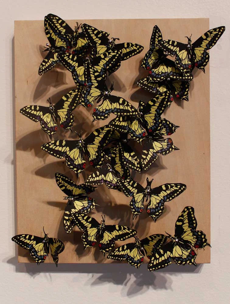 Ryan McJunkin Anise Swallowtail screen prints