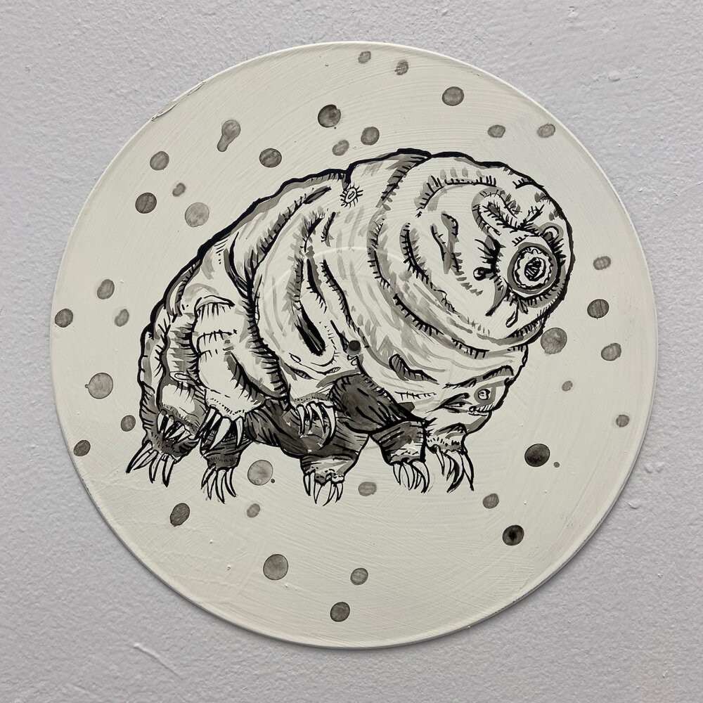37-John Casey Round tardigrade.jpg