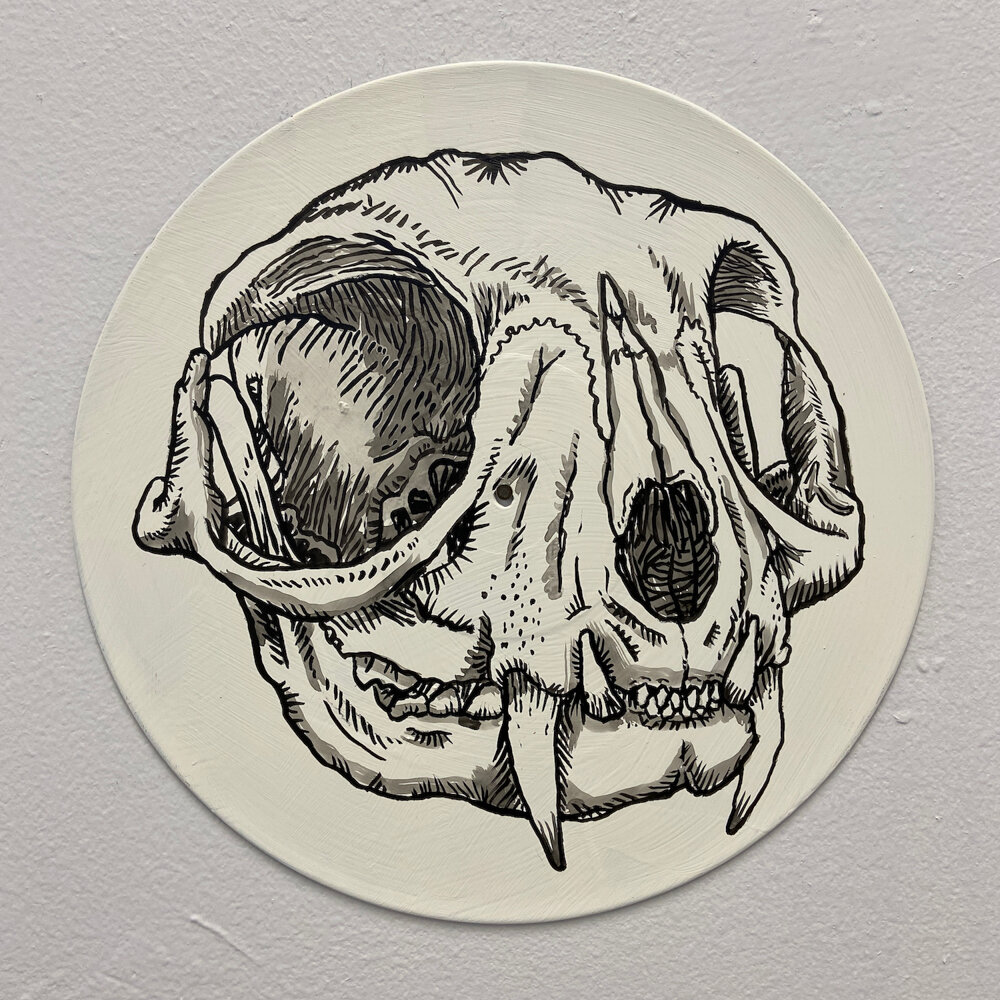 40-John Casey Round  cat skull.jpg