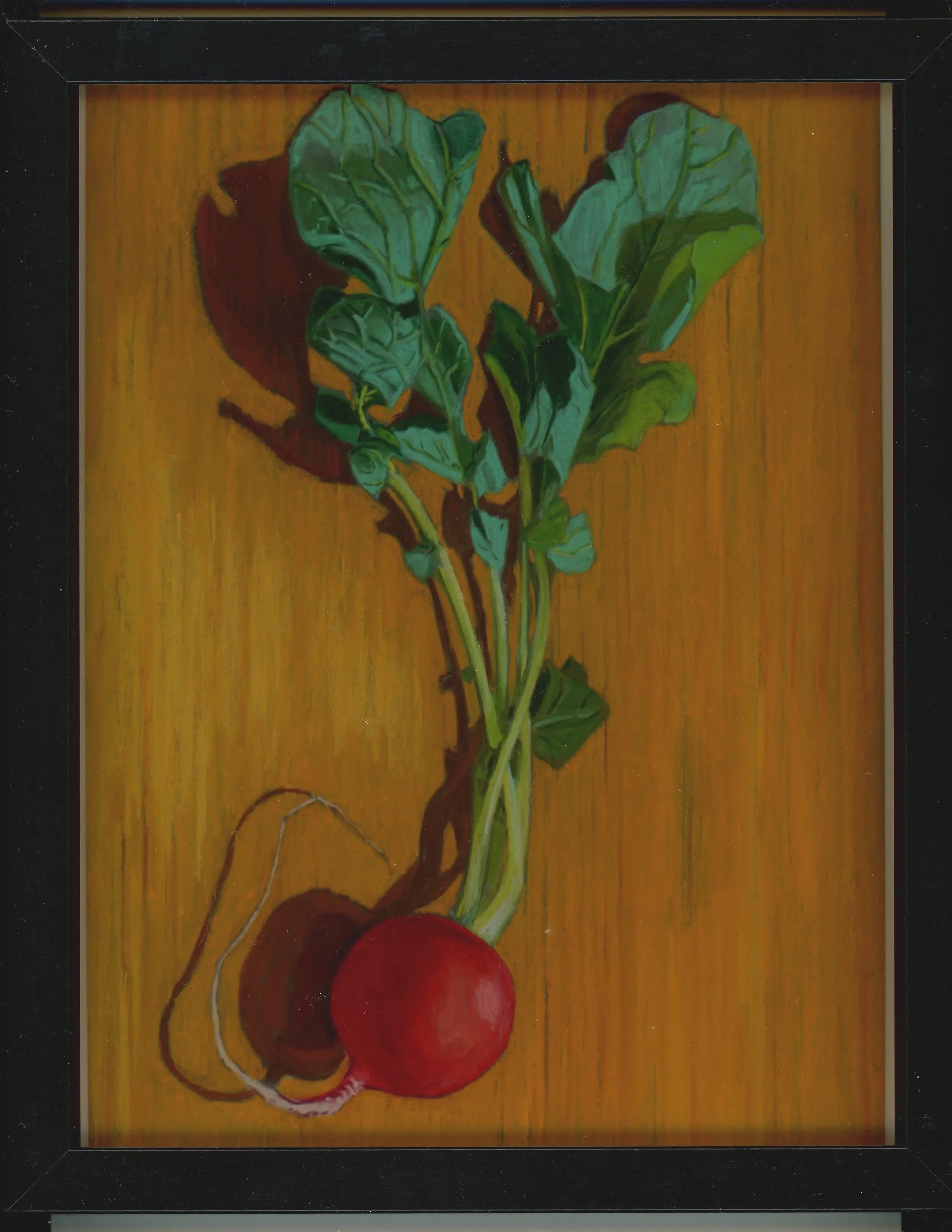 Andrew Pick- "Bright Radish"